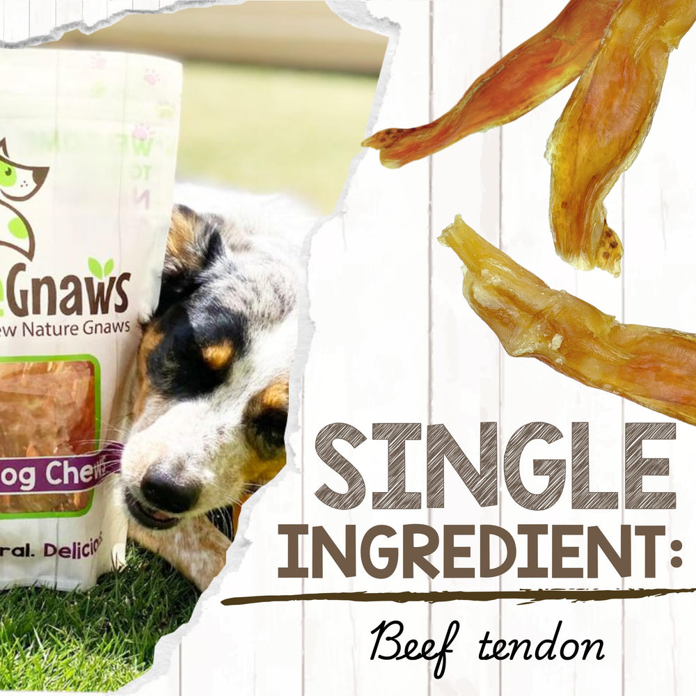 Nature Gnaws tendons boeuf, dentition naturelle pour chiens
