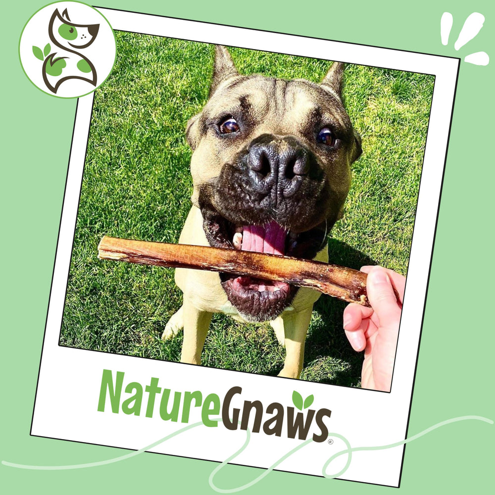 Bâtons sans gluten et sans céréales pour chiens sensibles.