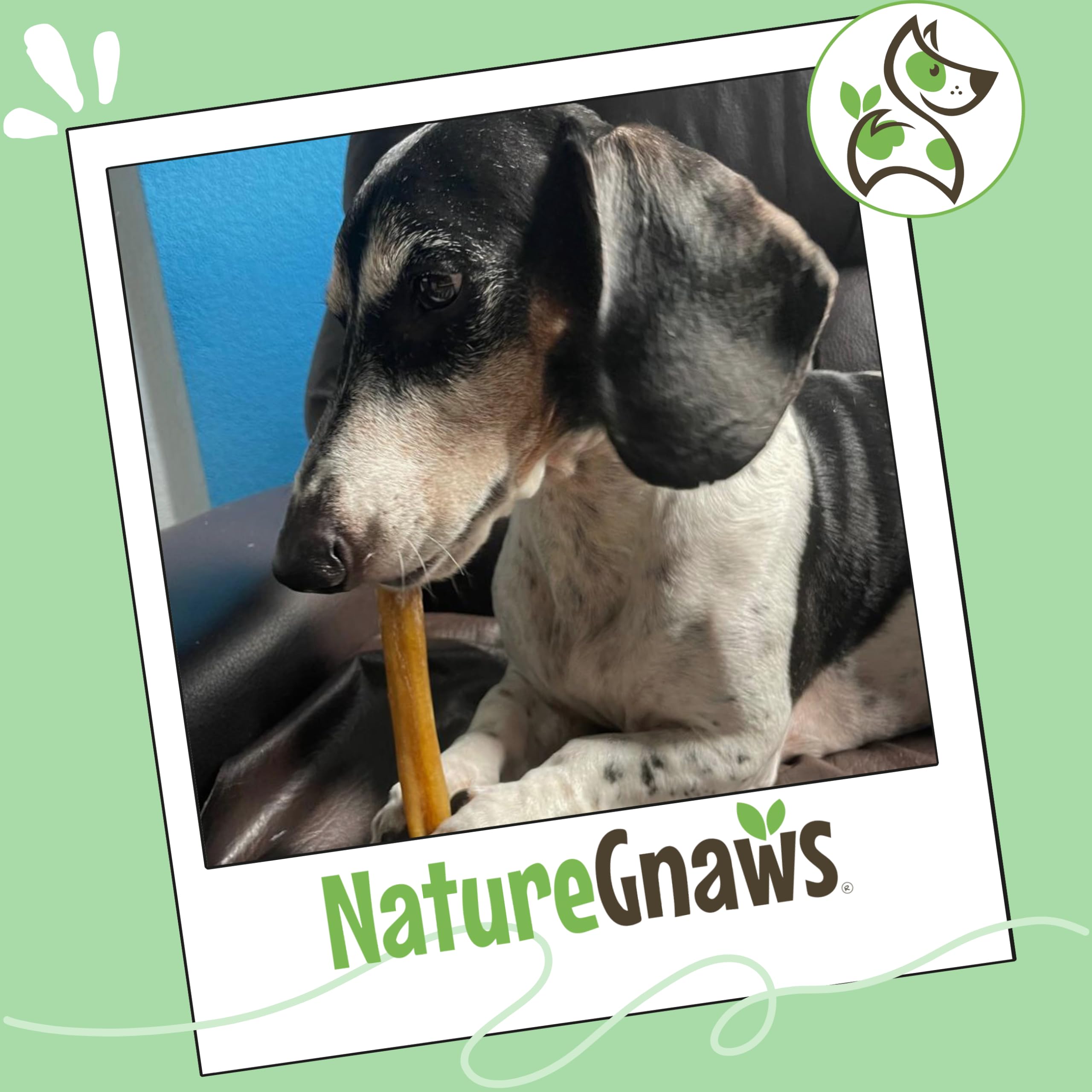 Nature Gnaws entreprise familiale petit chien : produits naturels et responsables