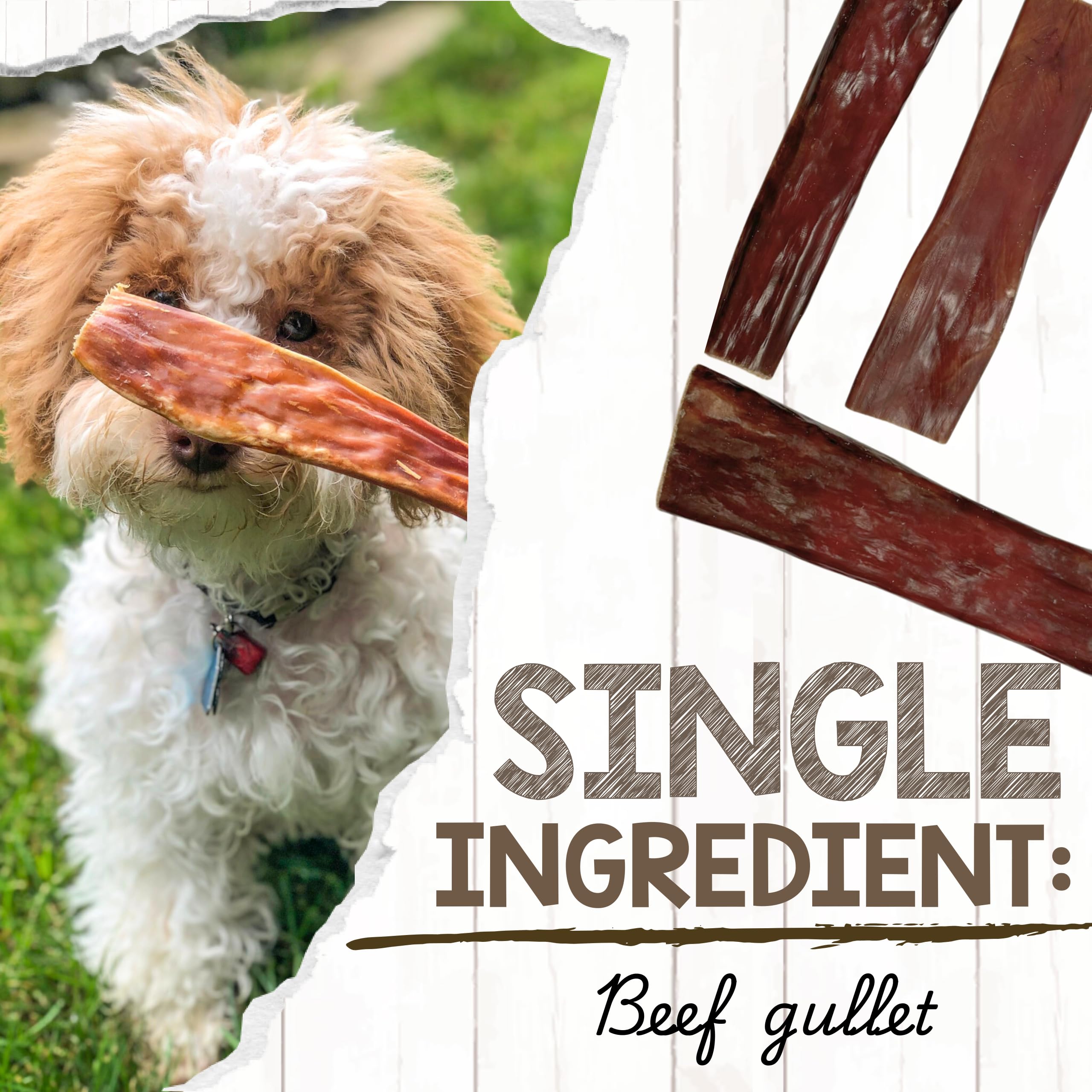 Nature Gnaws Goulet Boeuf Petit Chien – dentition naturelle et distraction saine.