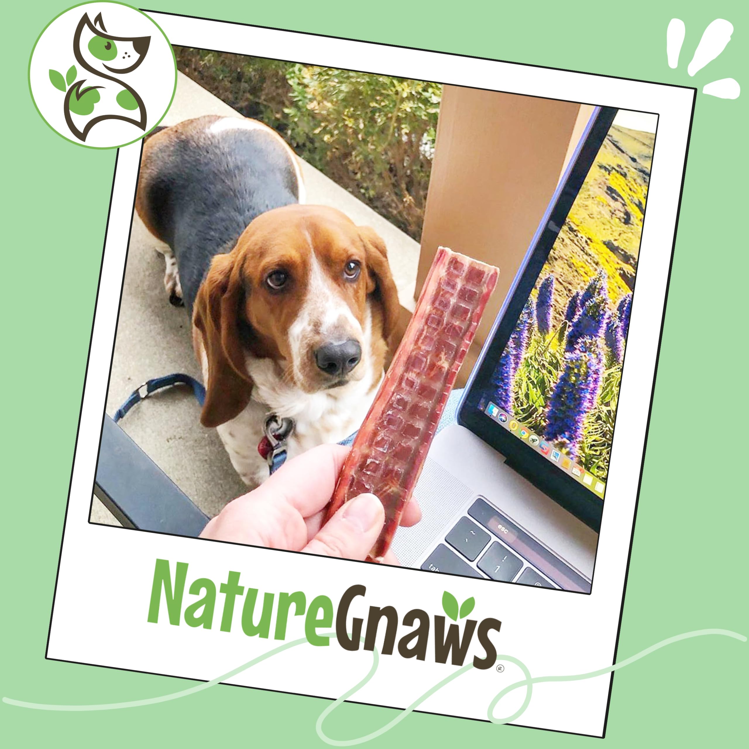 Nature Gnaws Goulet Boeuf Petit Chien – utile pour occuper et soutenir l'hygiene dentaire.