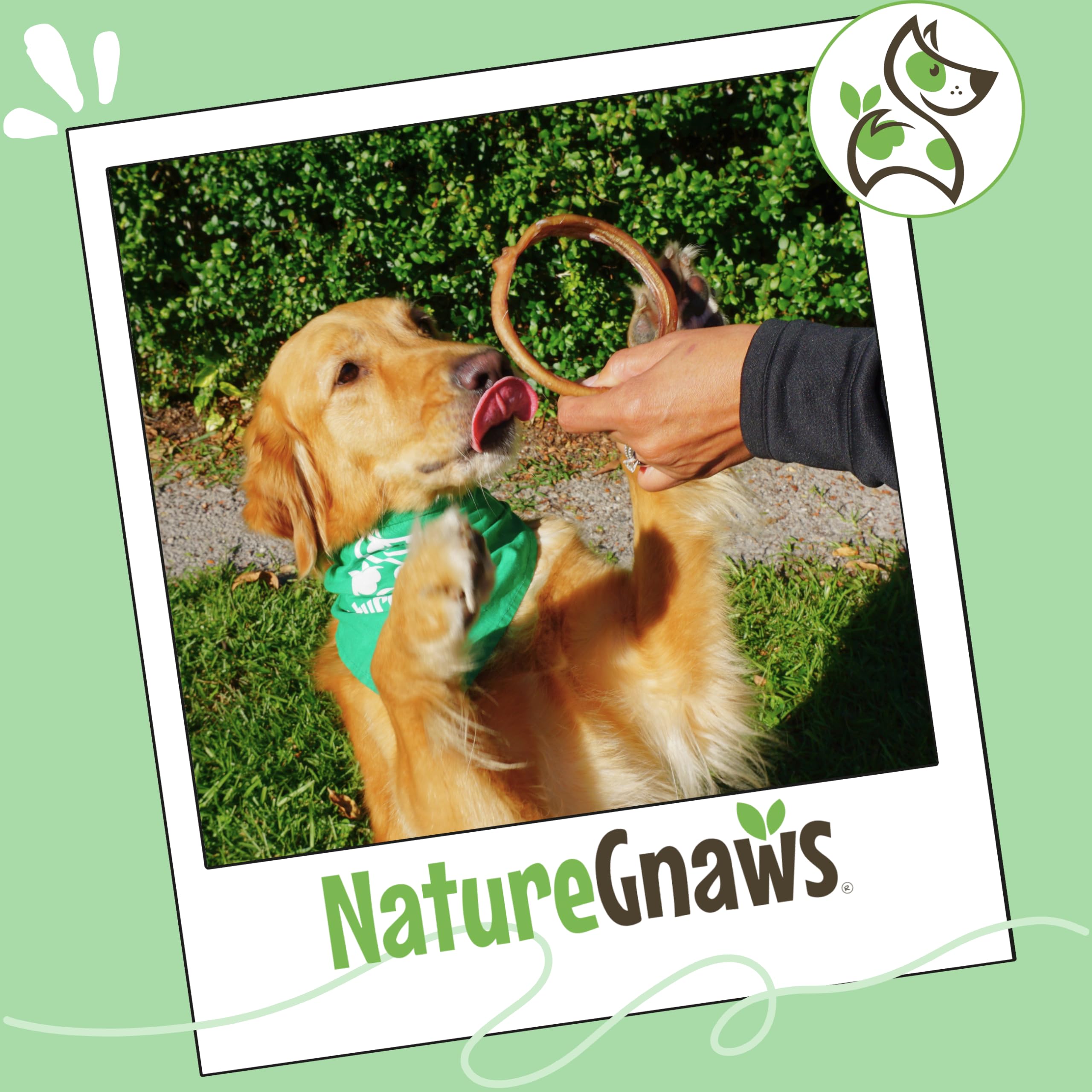 Nature Gnaws goût boeuf naturel, saveur savoureuse pour chiens