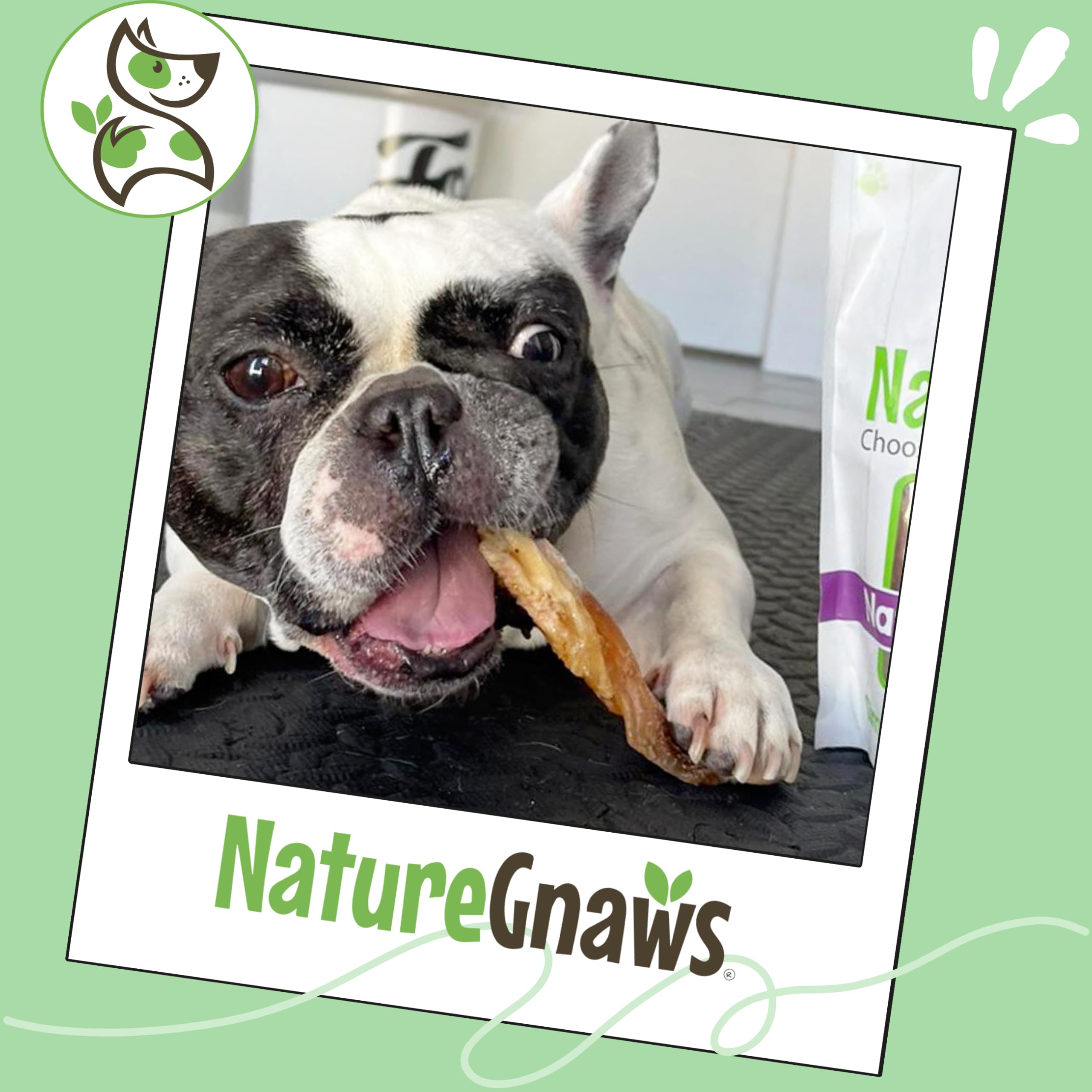 Nature Gnaws jouet dentition durable pour sessions de jeu