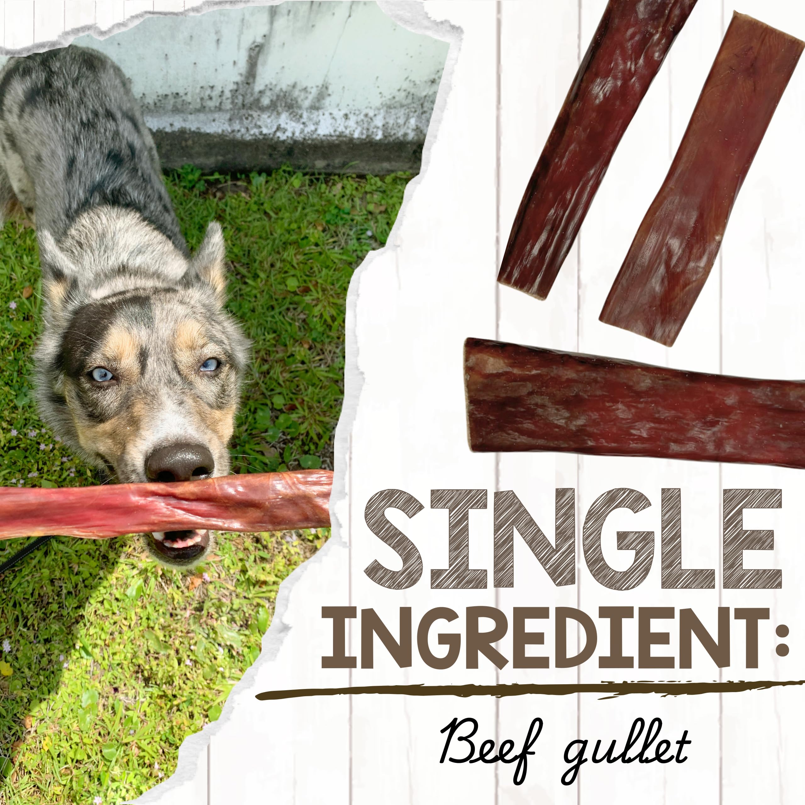 Bâton long goulet boeuf 9-10 pouces pour grands chiens.