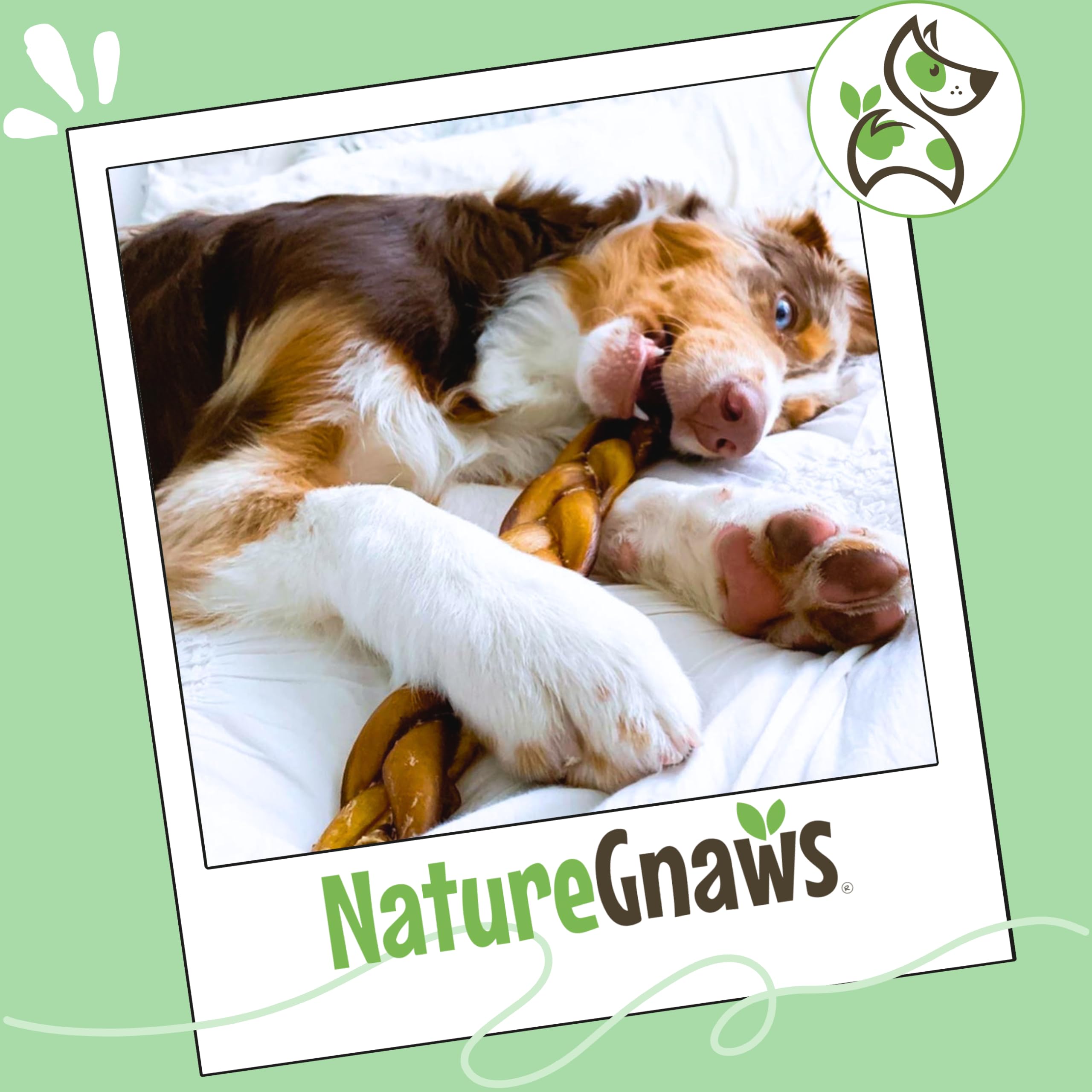 Nature Gnaws mastication efficace pour chien, activité rassurante