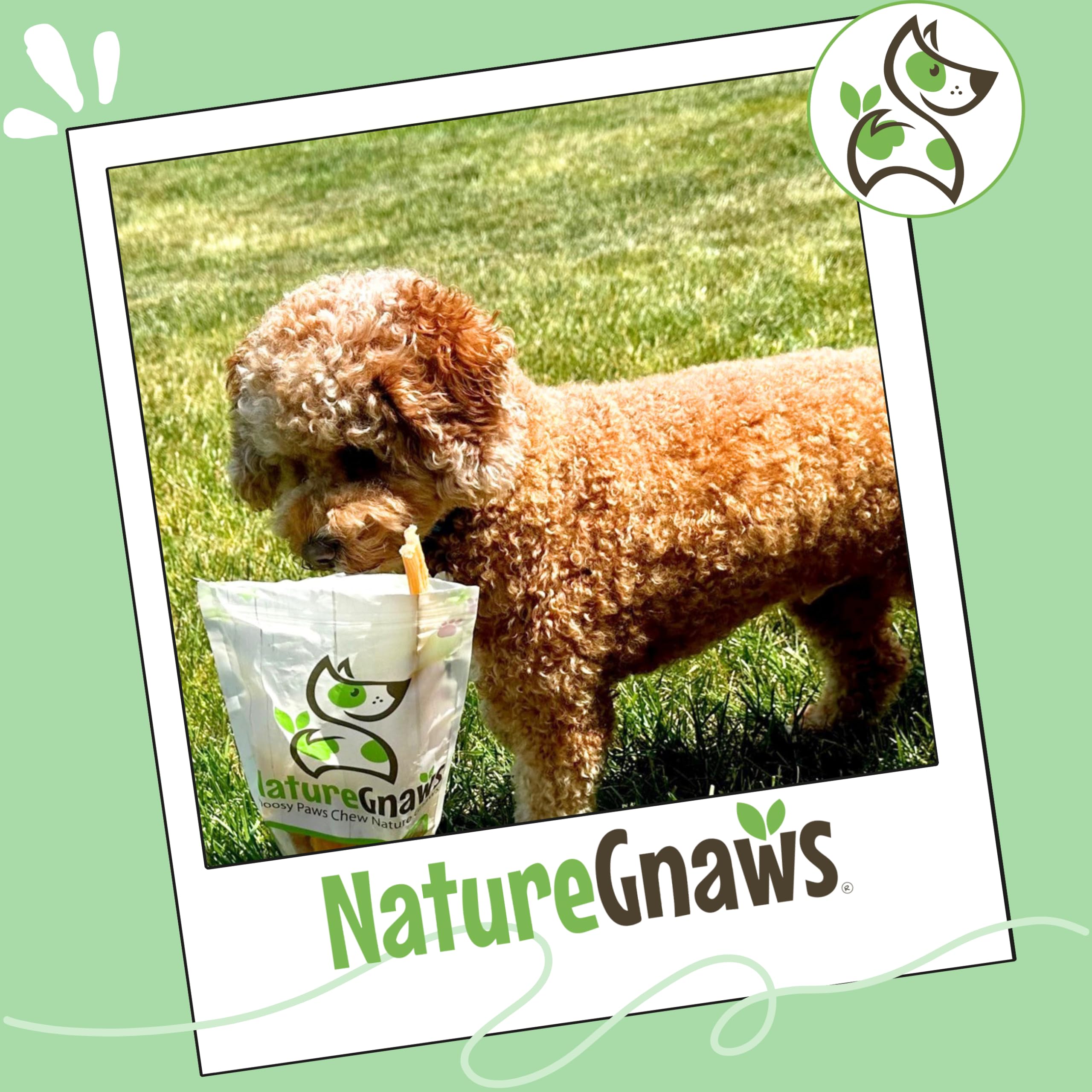 Nature Gnaws pack de 12 tendons boeuf, pratique et naturel