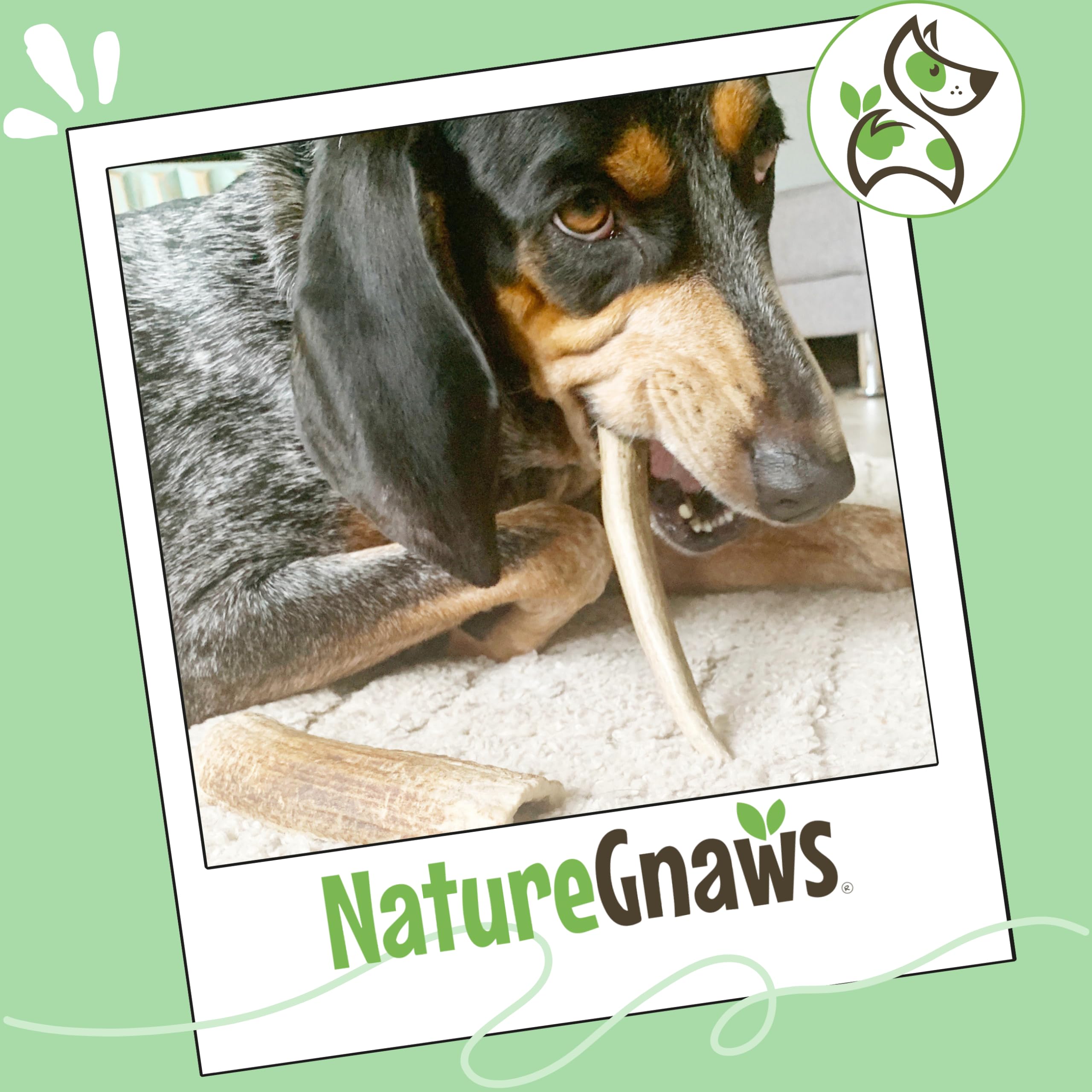 Nature Gnaws offre une alternative naturelle, sans gluten