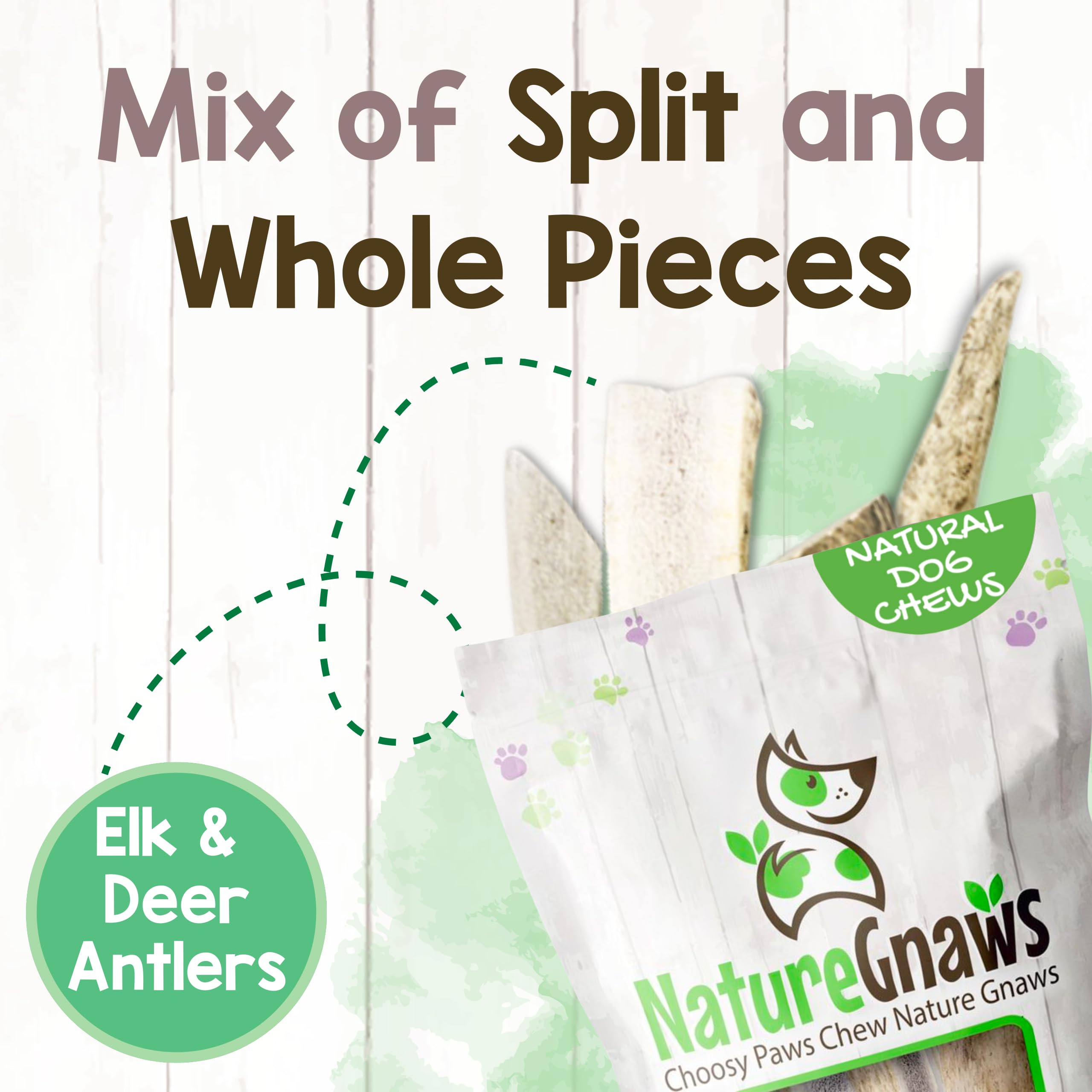 Nature Gnaws texture dure, ramure cerf, expérience de mastication durable