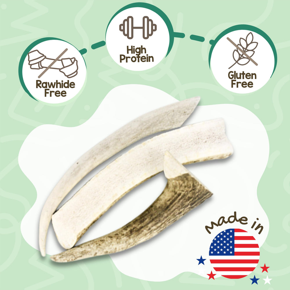 Ramures de cerf Nature Gnaws en tranches pour chien, mâchage durable et sans céréales.