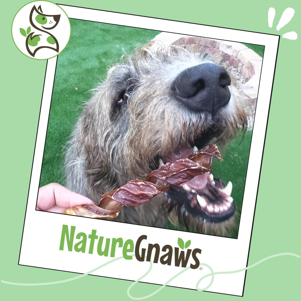 Nature Gnaws Ressorts Gosier Boeuf 7-8 Pouces, pratique et simple à offrir.