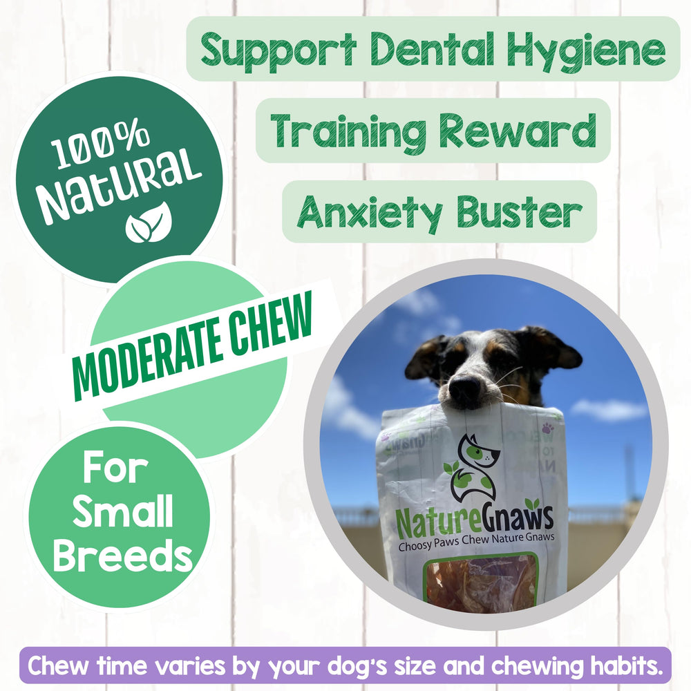 Nature Gnaws sans cuir petit chien : alternative sans cuir brut