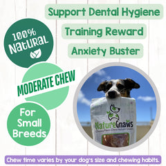 Nature Gnaws sans cuir petit chien : alternative sans cuir brut