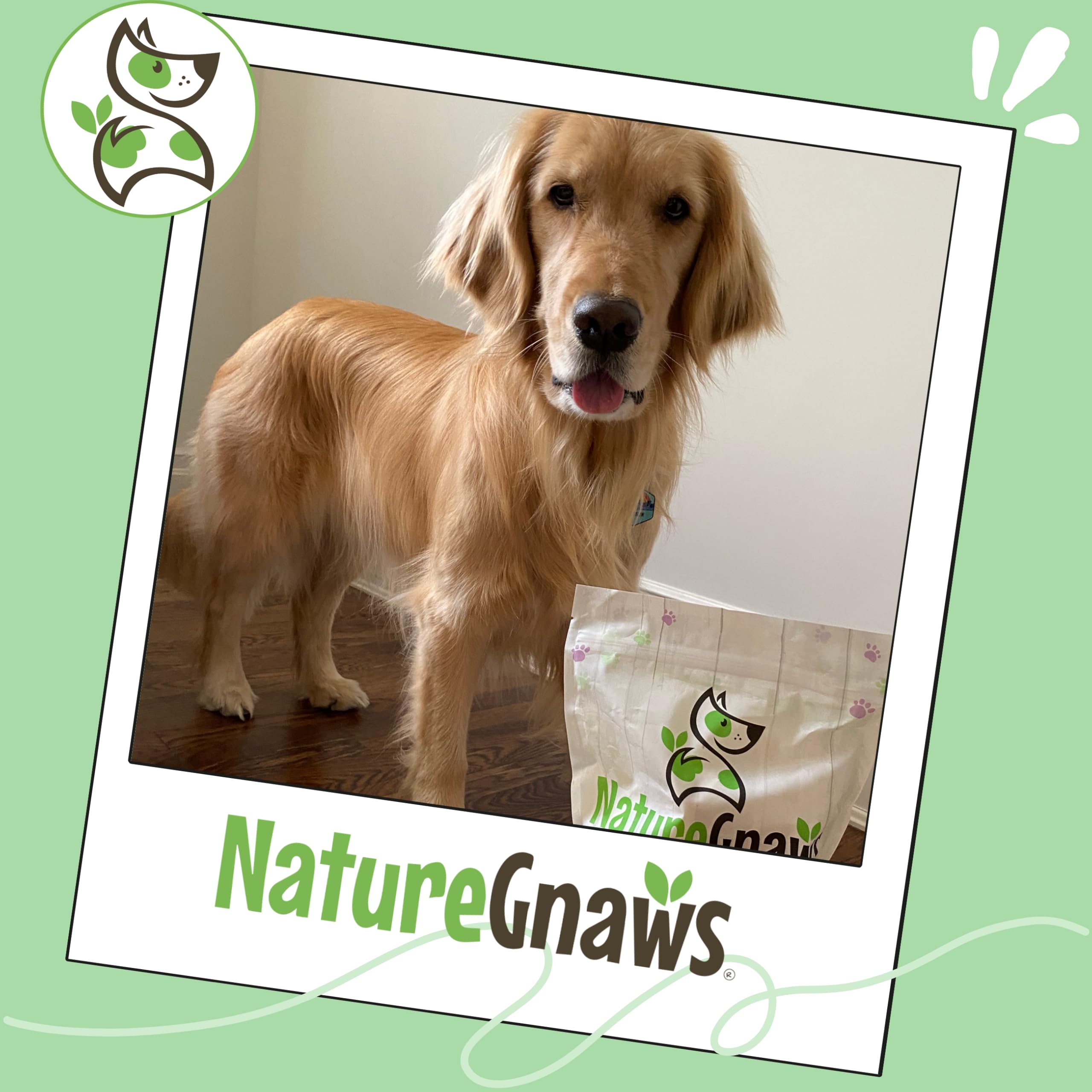 Nature Gnaws sante-dentaire-naturelle, soutien potentiel a hygiene buccale