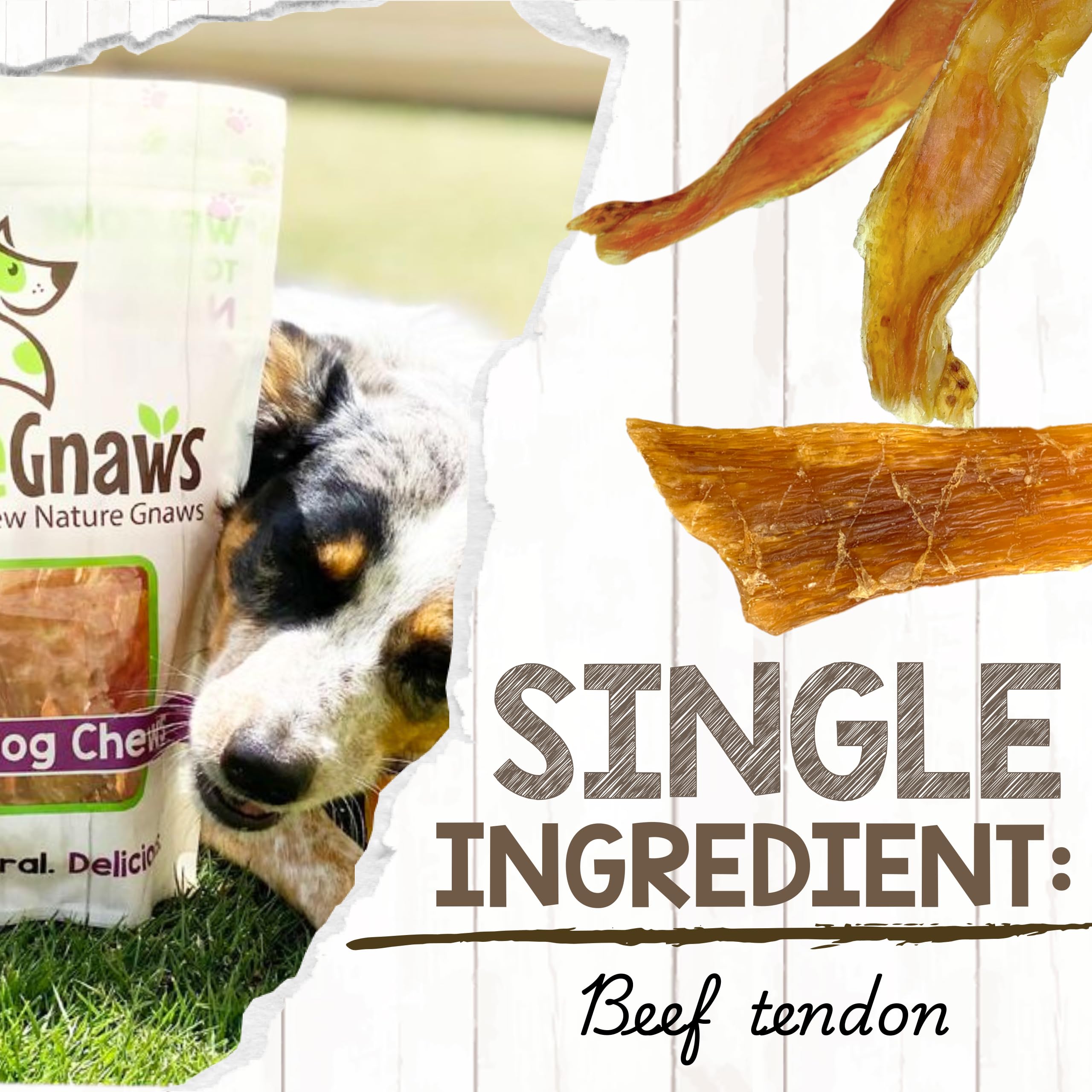 Chien heureux avec Tendons Nature Gnaws – moment de mastication plaisir.