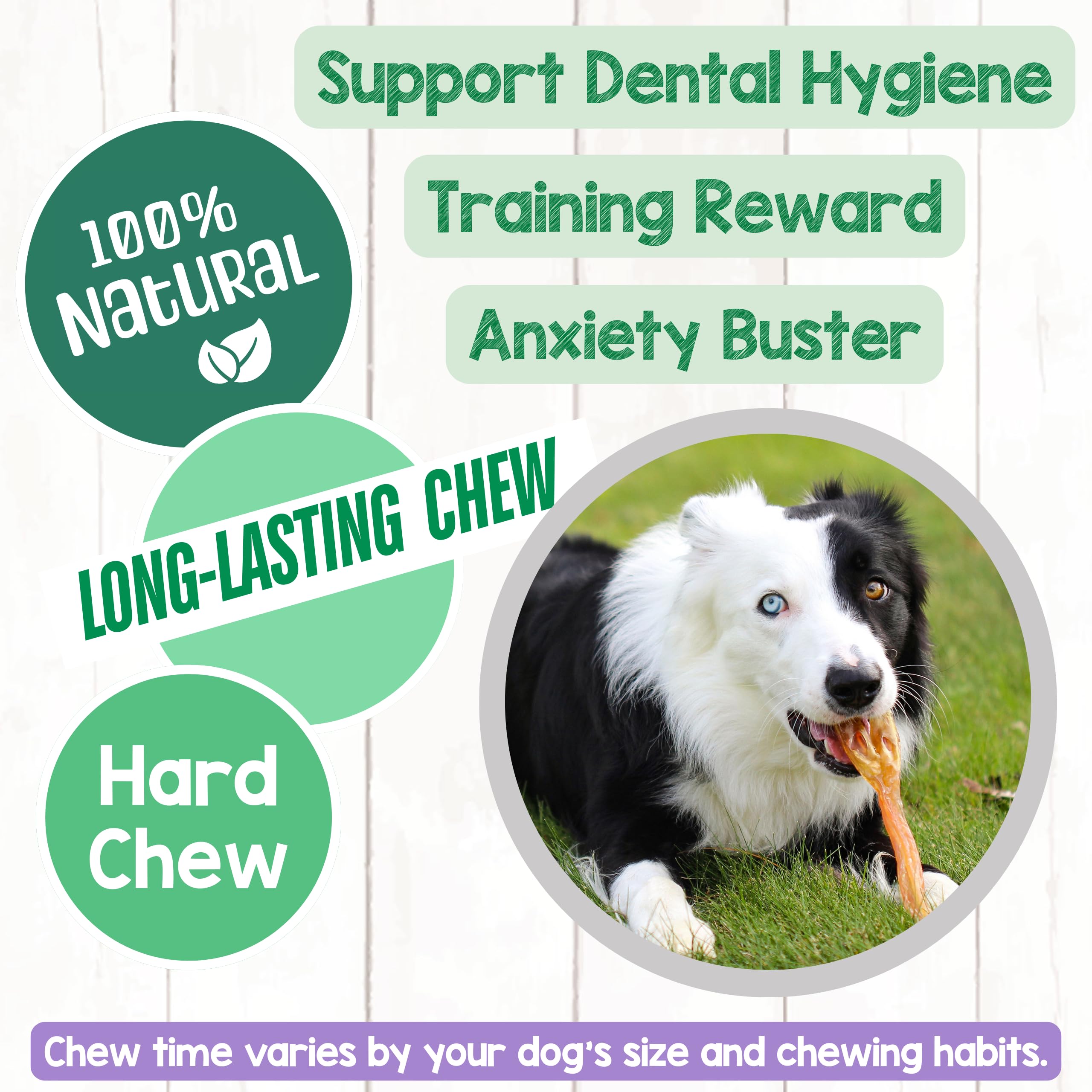 Chiot en dentition utilisant Tendons Nature Gnaws – aide à l’apaisement.