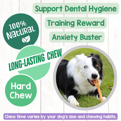 Chiot en dentition utilisant Tendons Nature Gnaws – aide à l’apaisement.
