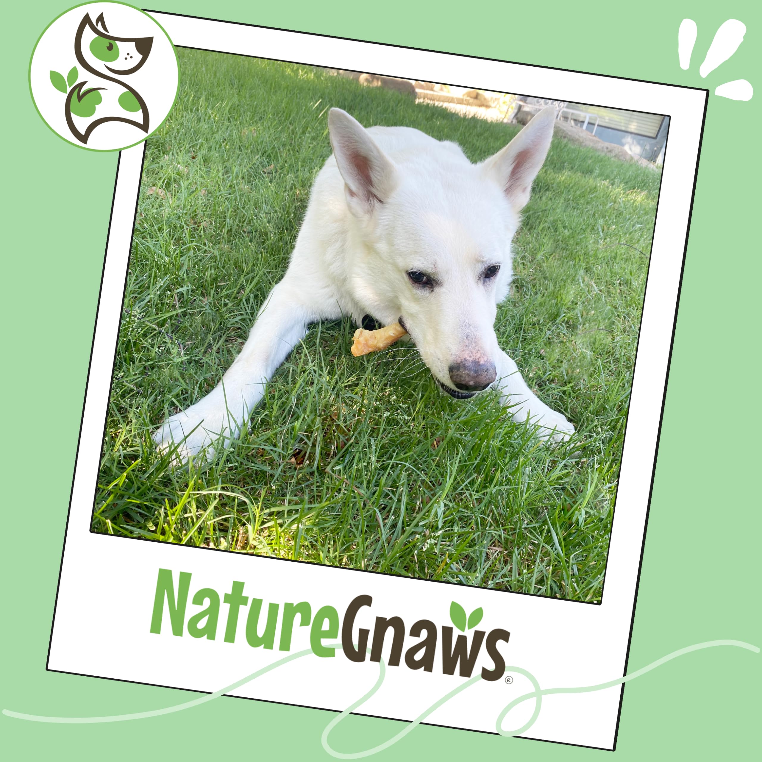 Nature Gnaws tendons-boeuf pour chiens, aide à occuper les chiens actifs