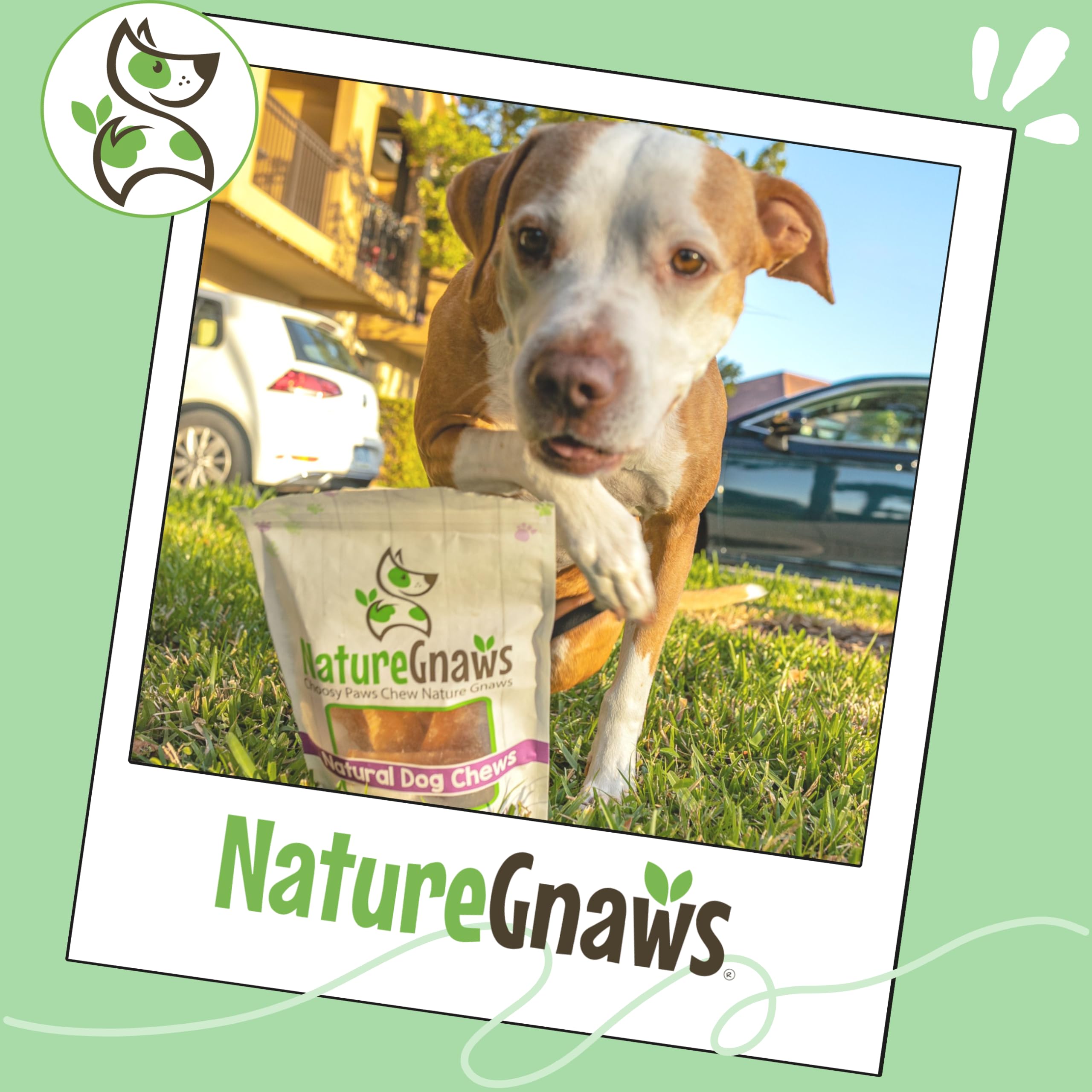 Nature Gnaws Beef Paddywack Tendons, arome-beef-naturel: goût appétent pour chiens