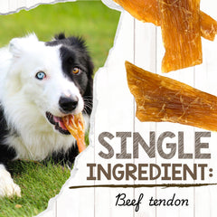 Nature Gnaws Beef Paddywack Tendons, longue-duree: activite de mastication prolongee pour chiens
