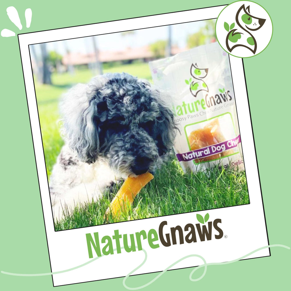 Nature Gnaws Beef Paddywack Tendons, mastication-efficace: occupe et divertit les chiens