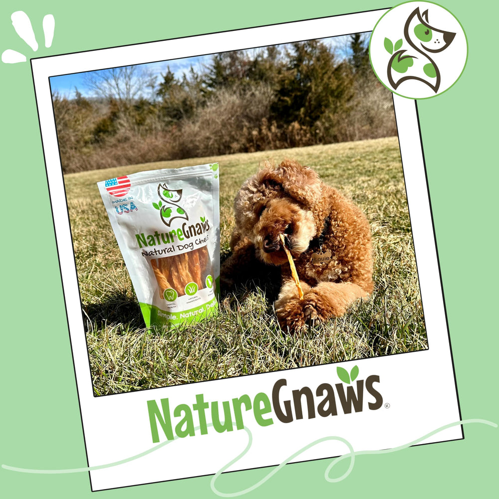 Nature Gnaws Tendons de Dinde États-Unis – arôme naturel, goût savoureux et appétent.