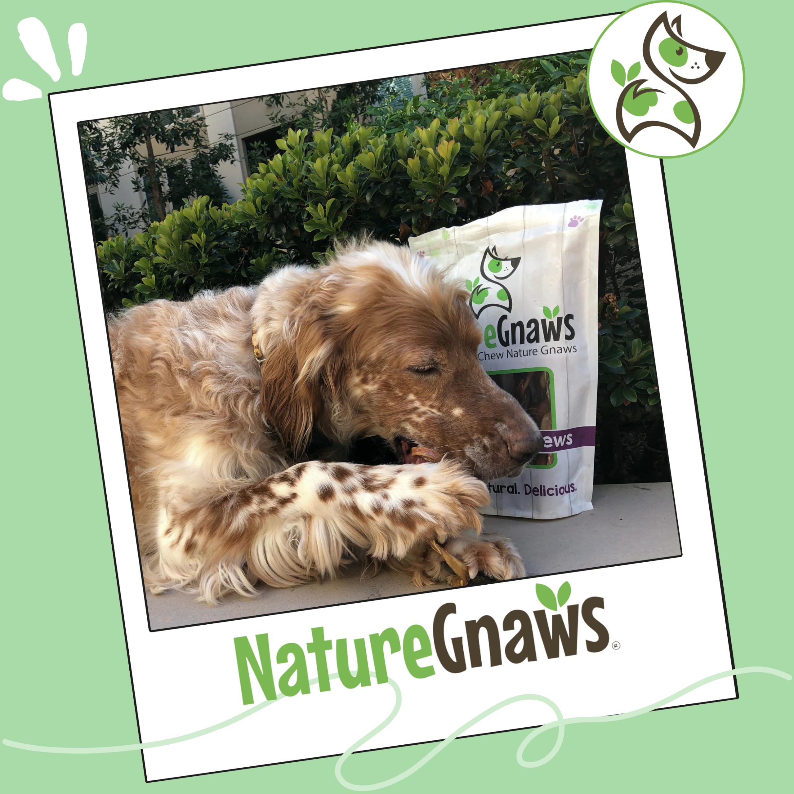 Nature Gnaws texture-boeuf-epaisse, recompense durable et savoureuse