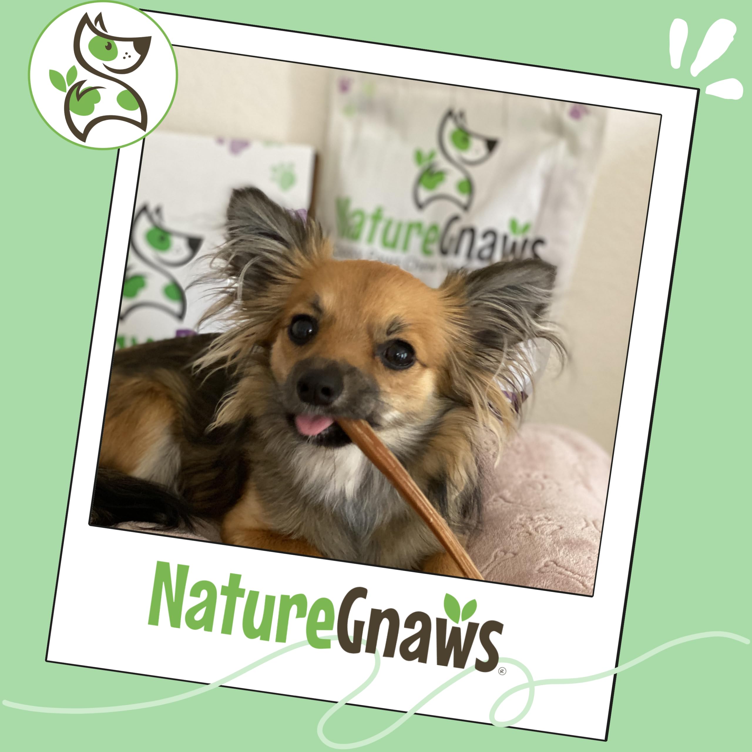 Nature Gnaws texture dense petit chien : mâcher puissant et satisfaisant