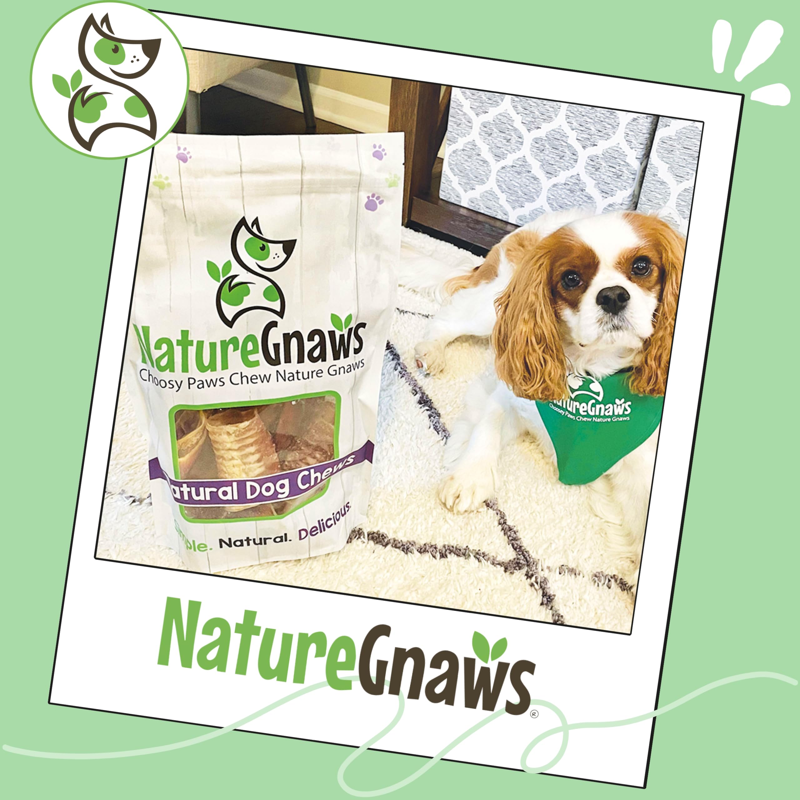 Nature Gnaws trachée de boeuf pour chiens, aide potentielle à dentition et haleine fraîche.