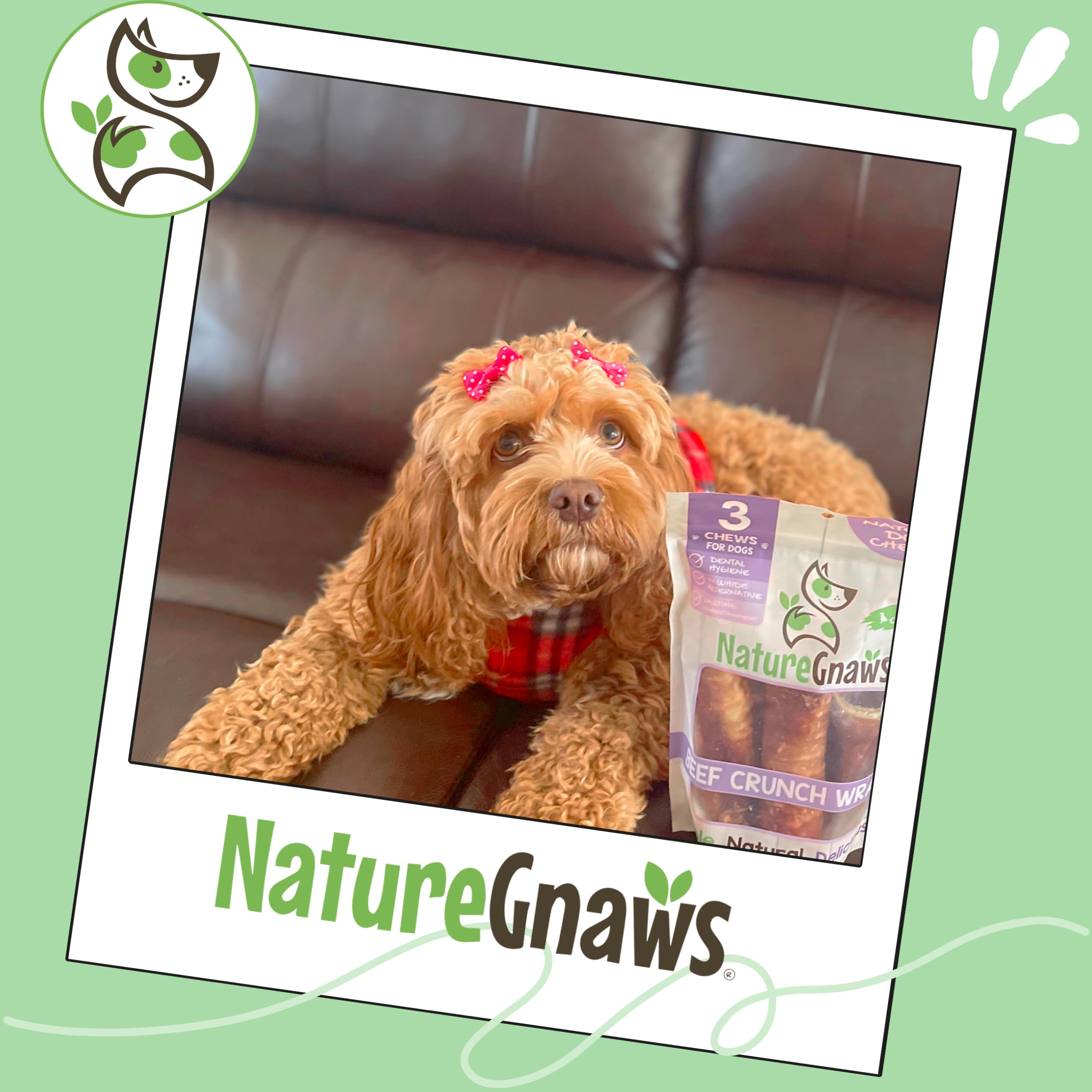 Dentition douce et longue durée avec Nature Gnaws pour chiens actifs