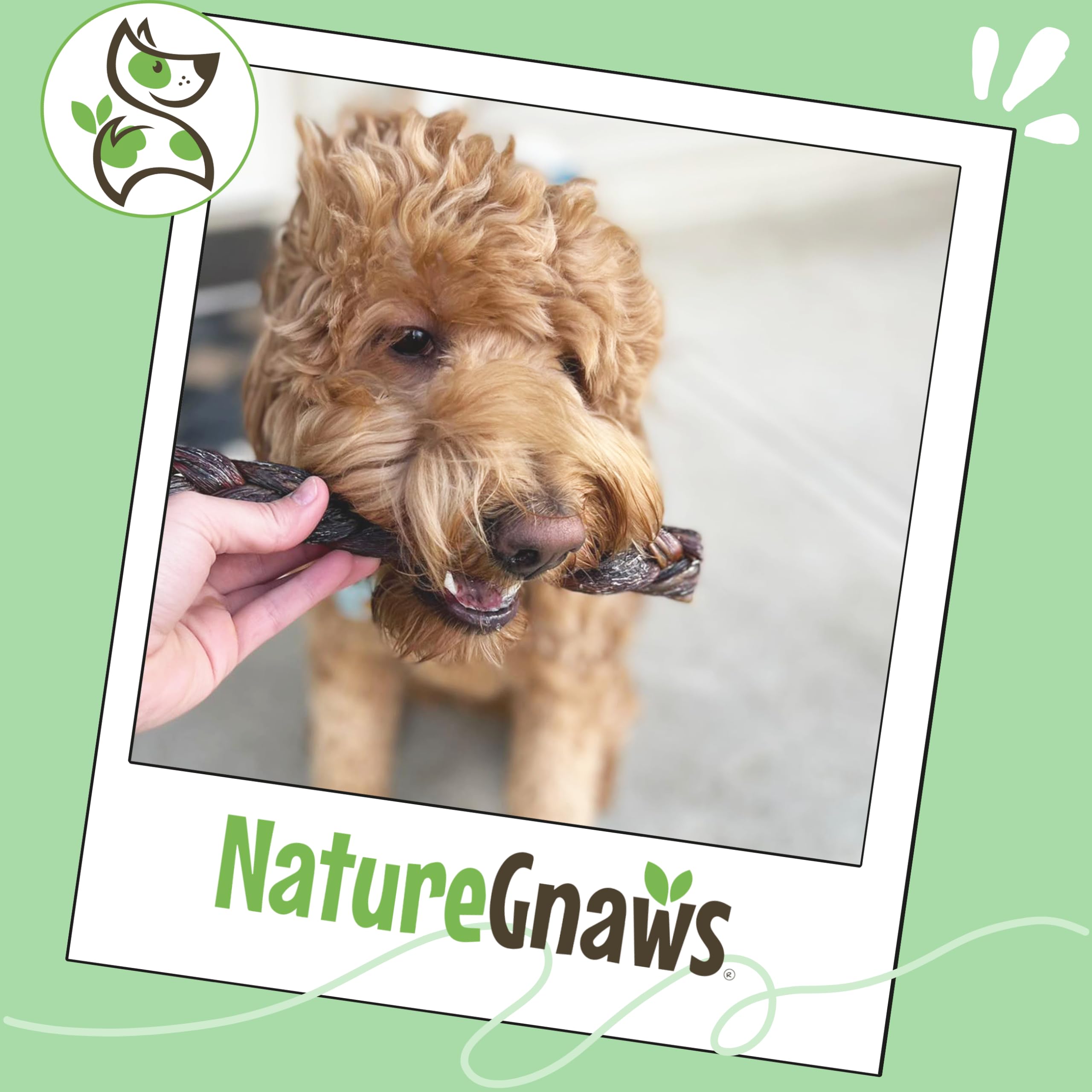 Nature Gnaws tresses bully composition boeuf : friandise saine et naturelle.