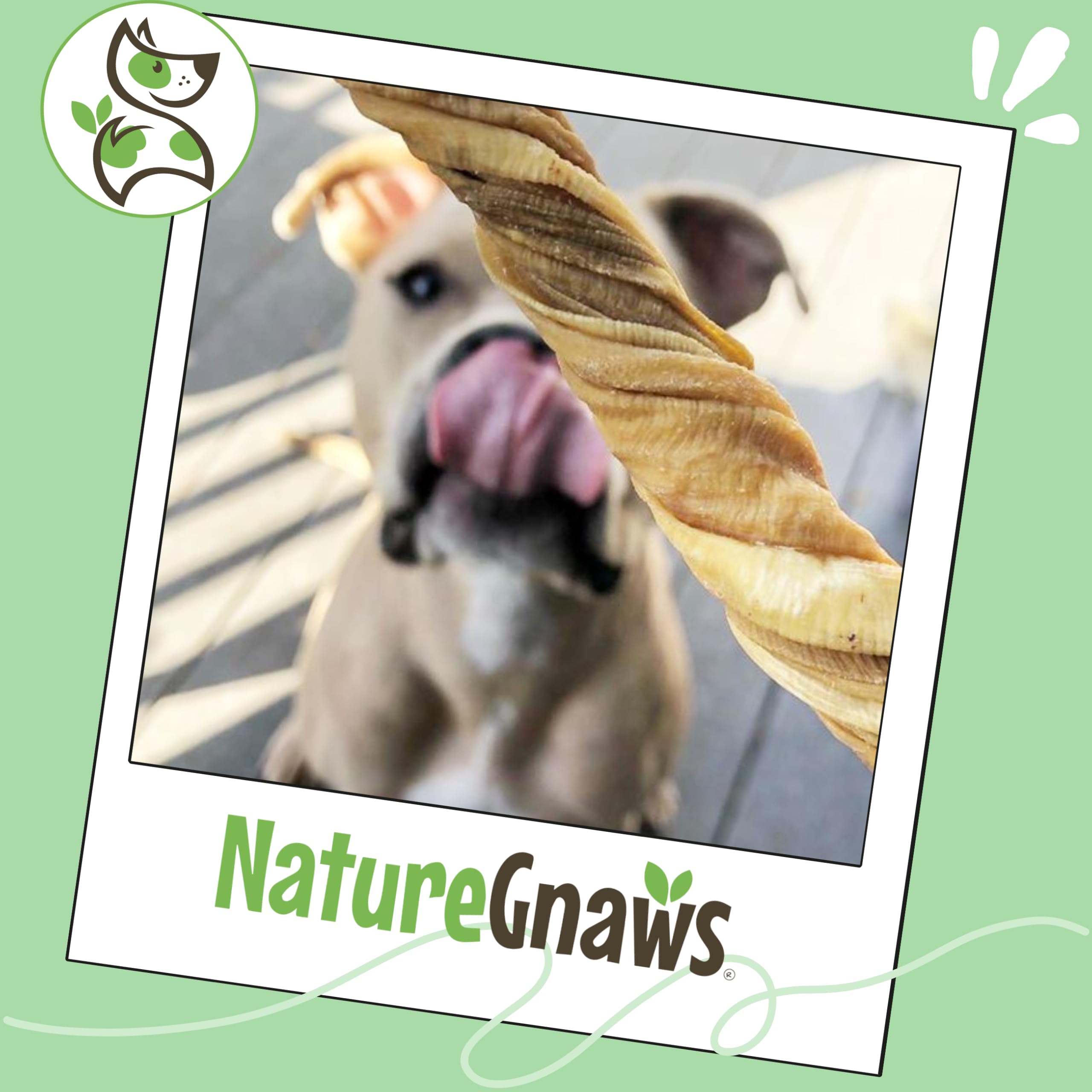 Aide dentition naturelle avec Tripe Twists Nature Gnaws.