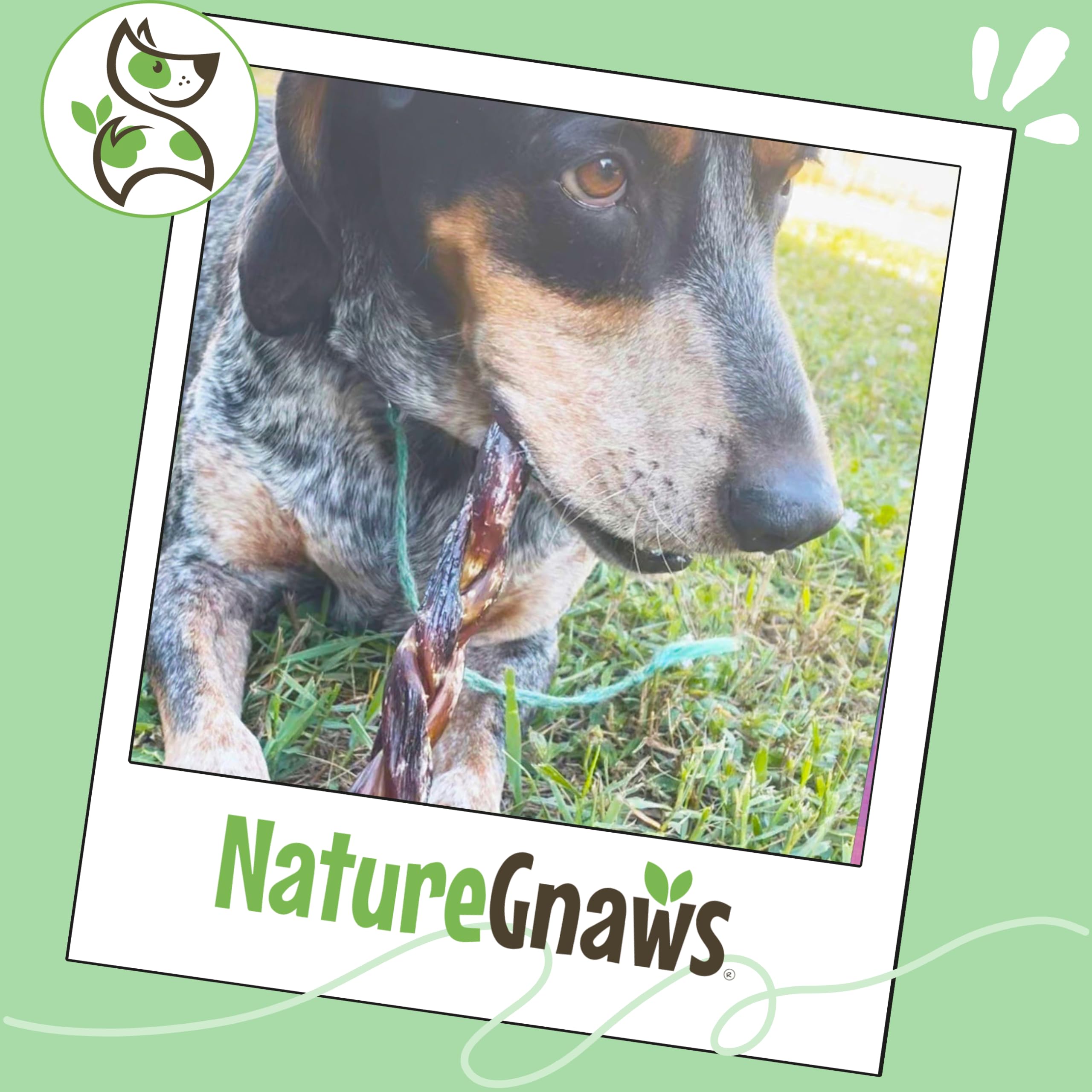Nature Gnaws Usage Quotidien Boeuf: parfait comme recompense quotidienne sans additifs.
