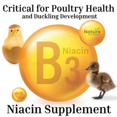 Nature INTENDED niacine et vitamines, complément nutritionnel pour volailles