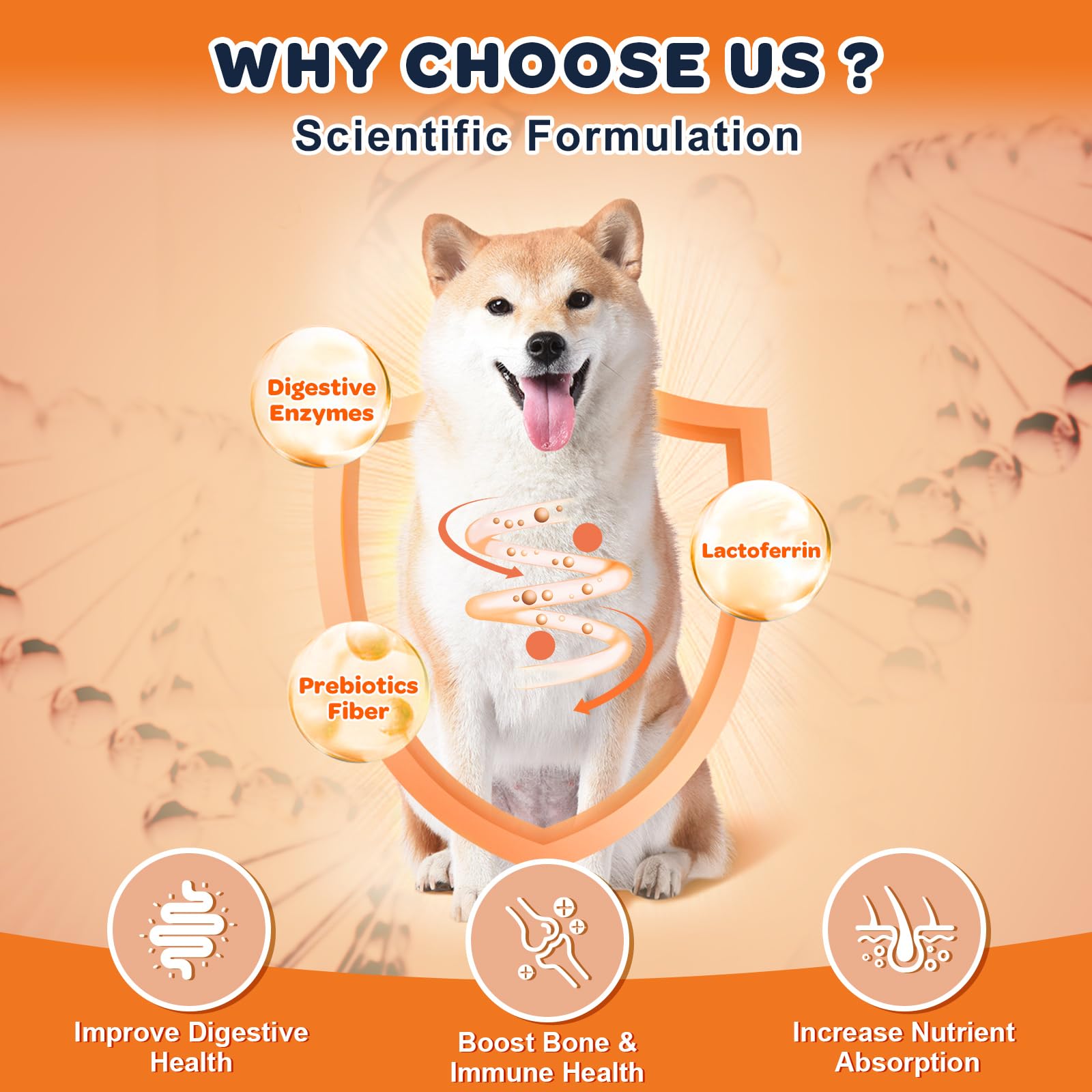 Nature Target calcium et os, soutien densité osseuse chien