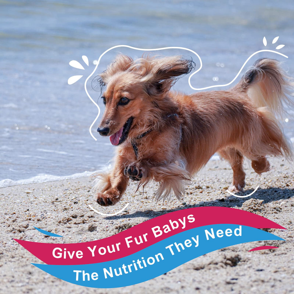 Nature Target Chien – Boîte pratique de 90 portions pour l’alimentation quotidienne.