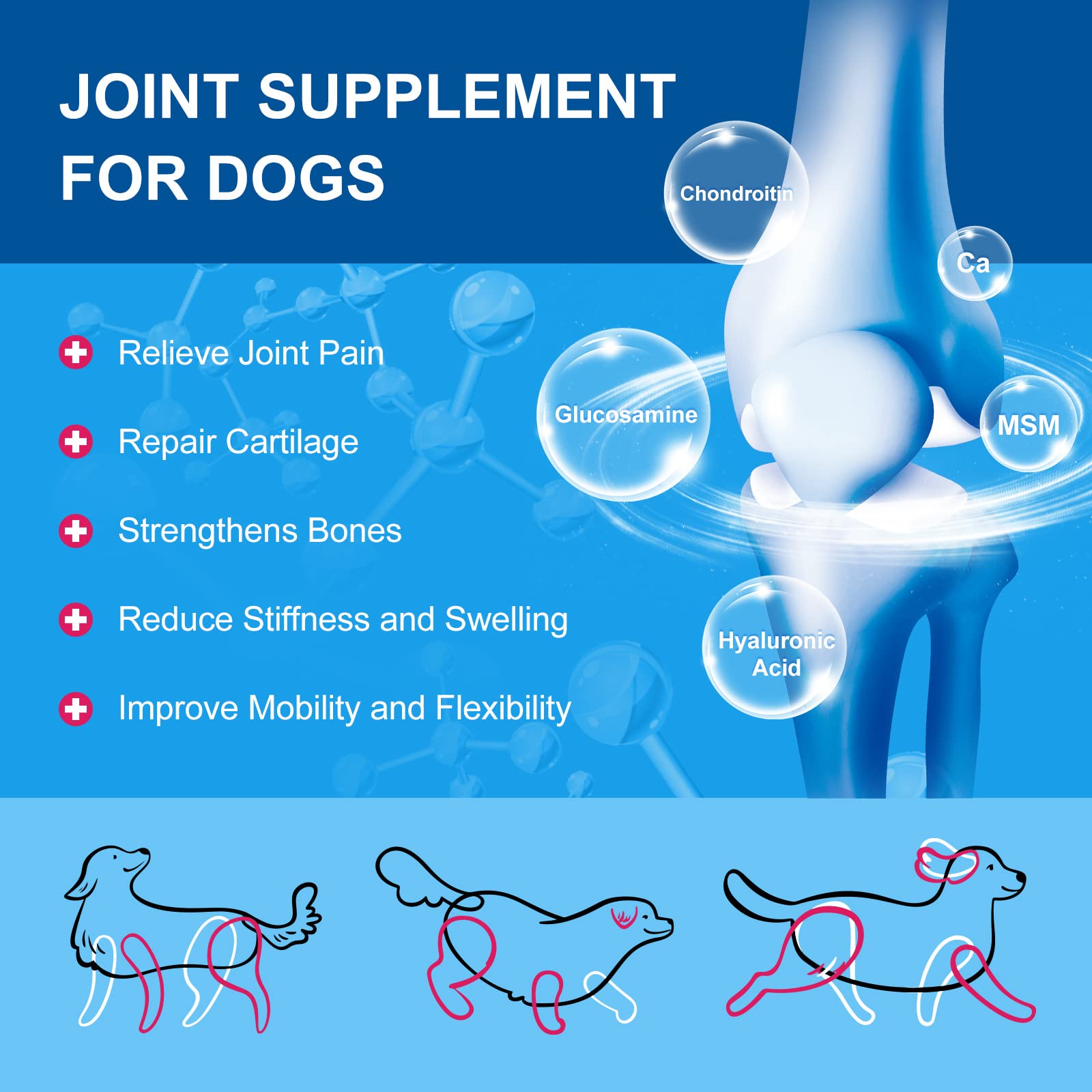 Nature Target Chien – Enzymes digestives et prébiotiques pour l’équilibre intestinal.
