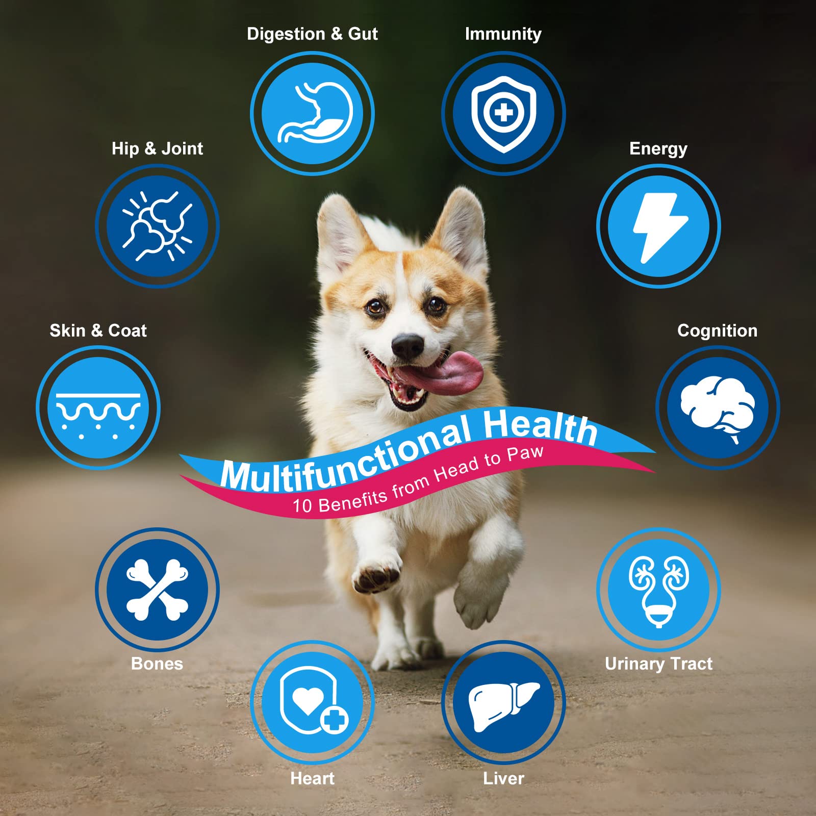 Nature Target Chien – Glucosamine et chondroïtine pour les articulations.