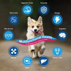 Nature Target Chien – Glucosamine et chondroïtine pour les articulations.