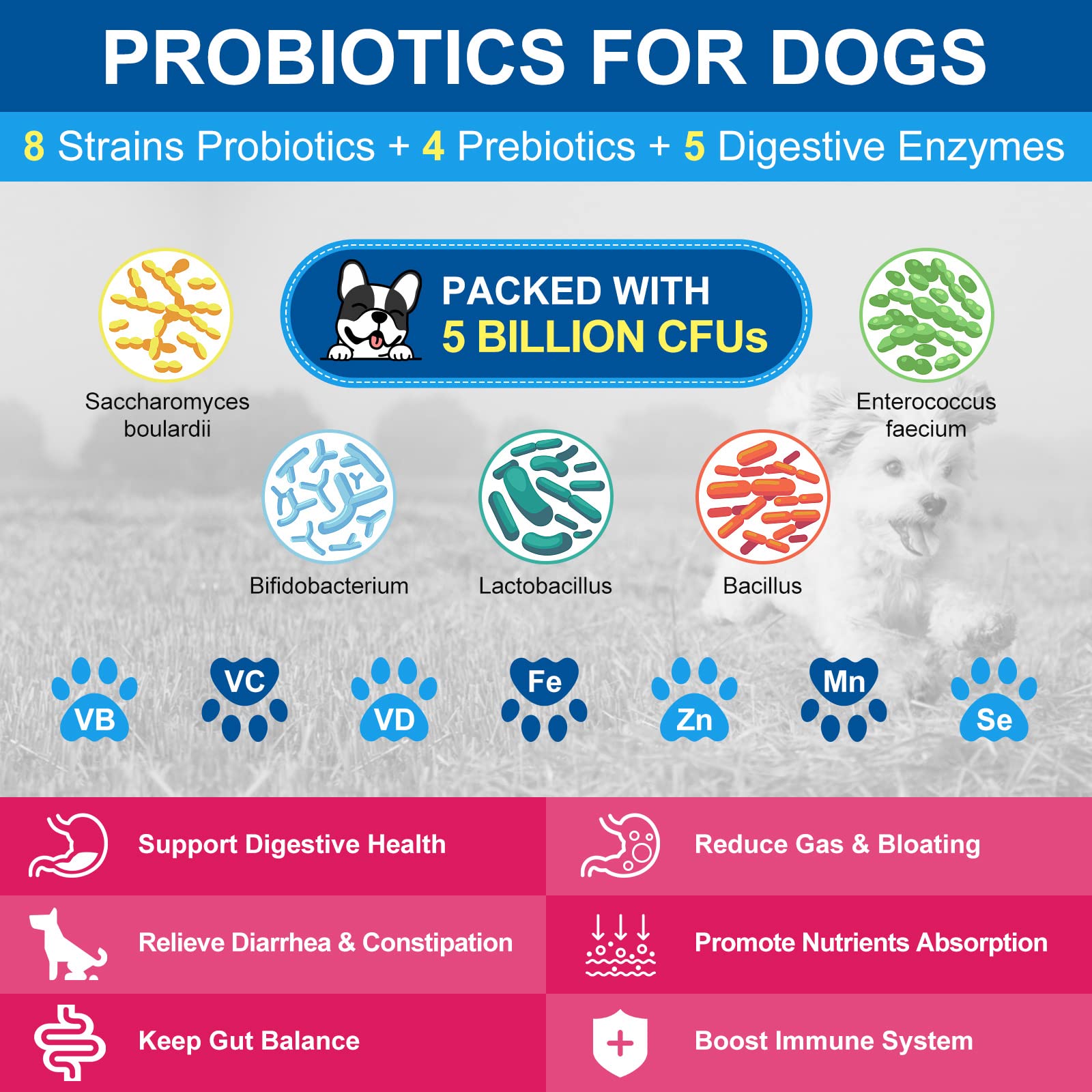 Nature Target Chien – Peau et pelage brillants grâce aux oméga-3.