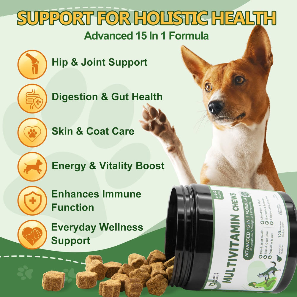 NATURE TARGET Chien : soutien articulation avec glucosamine et MSM pour mobilité.