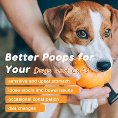 NATURE TARGET enzymes digestives pour chien améliorent l’absorption.