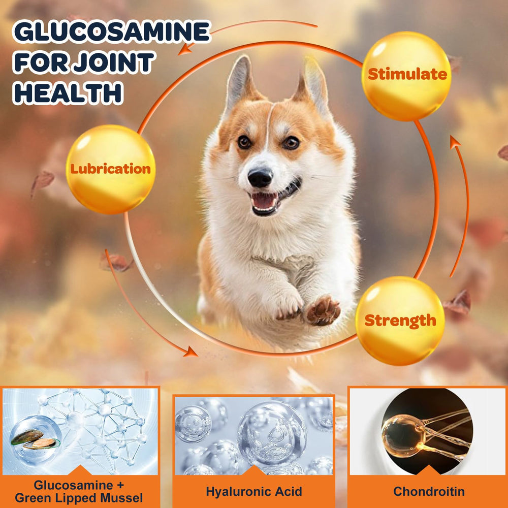 Nature Target friandises poulet, bouchées croquantes favorisant articulation canine