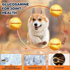 Nature Target friandises poulet, bouchées croquantes favorisant articulation canine