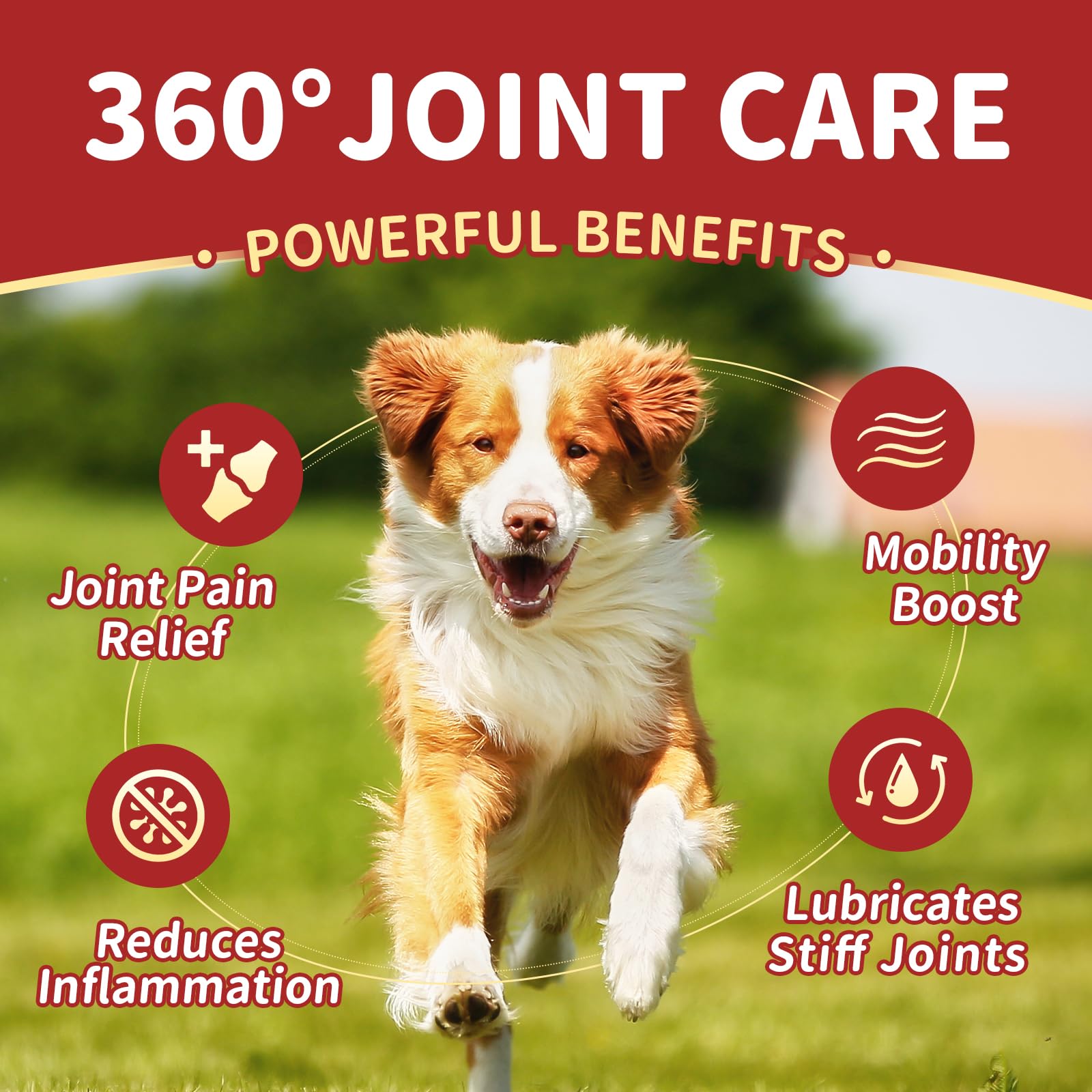 Nature Target glucosamine-chondroïtine chien : soutien des articulations.
