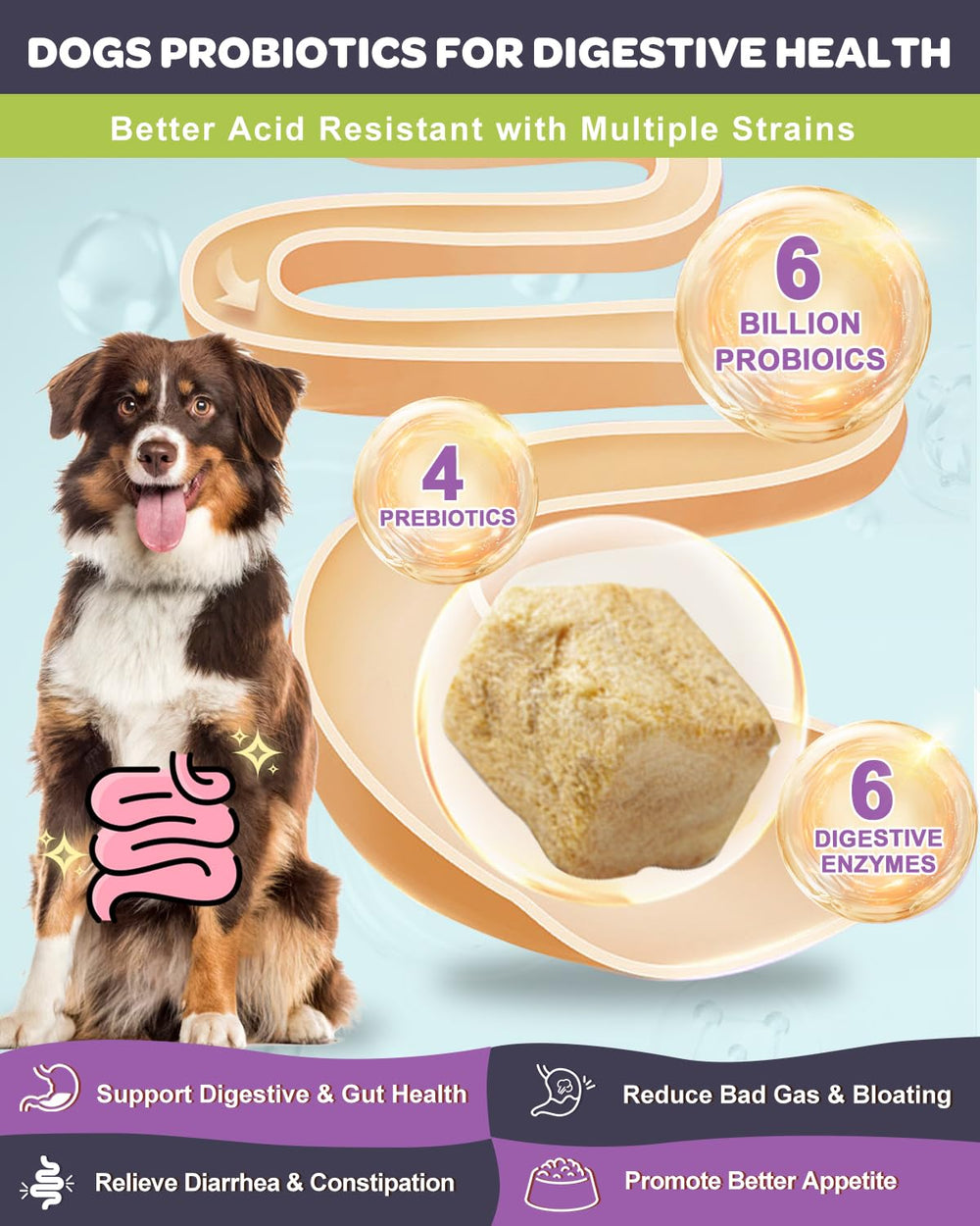 Probiotiques Nature Target, 12 souches pour équilibre intestinal du chien