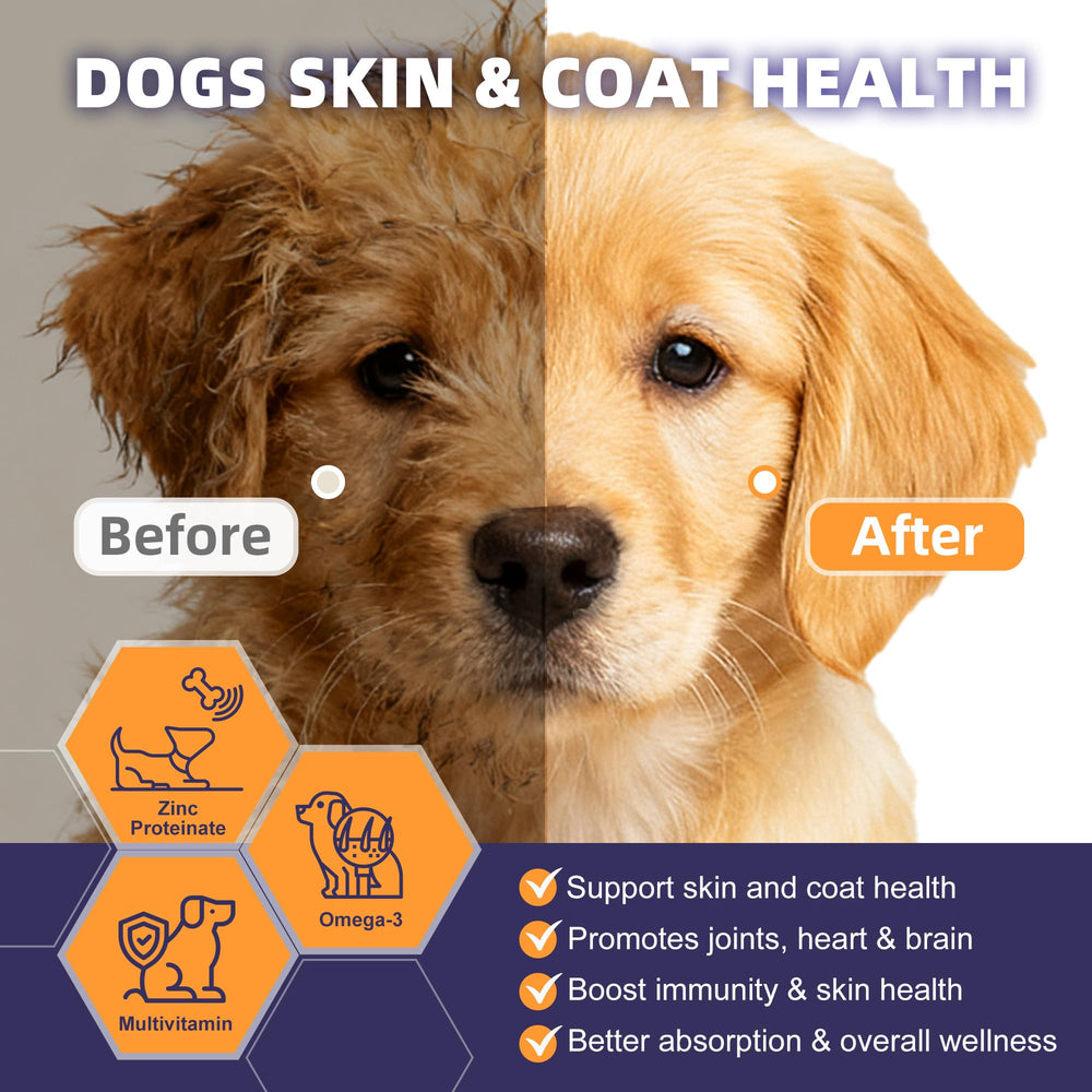 NATURE TARGET Probiotiques pour chiens, immunité et flore intestinale renforcées.