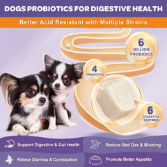 Nature Target Probiotiques chien – bouchées lyophilisées facilitant l’absorption