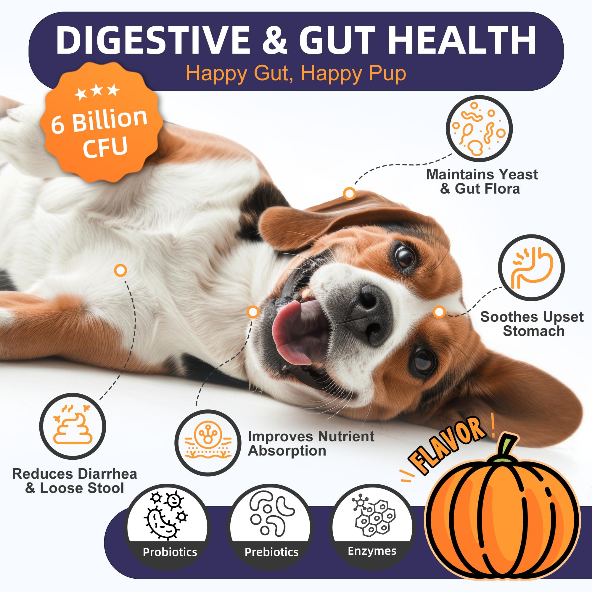 Probiotiques Nature Target pour chiens, prébiotiques et enzymes pour digestion équilibrée.