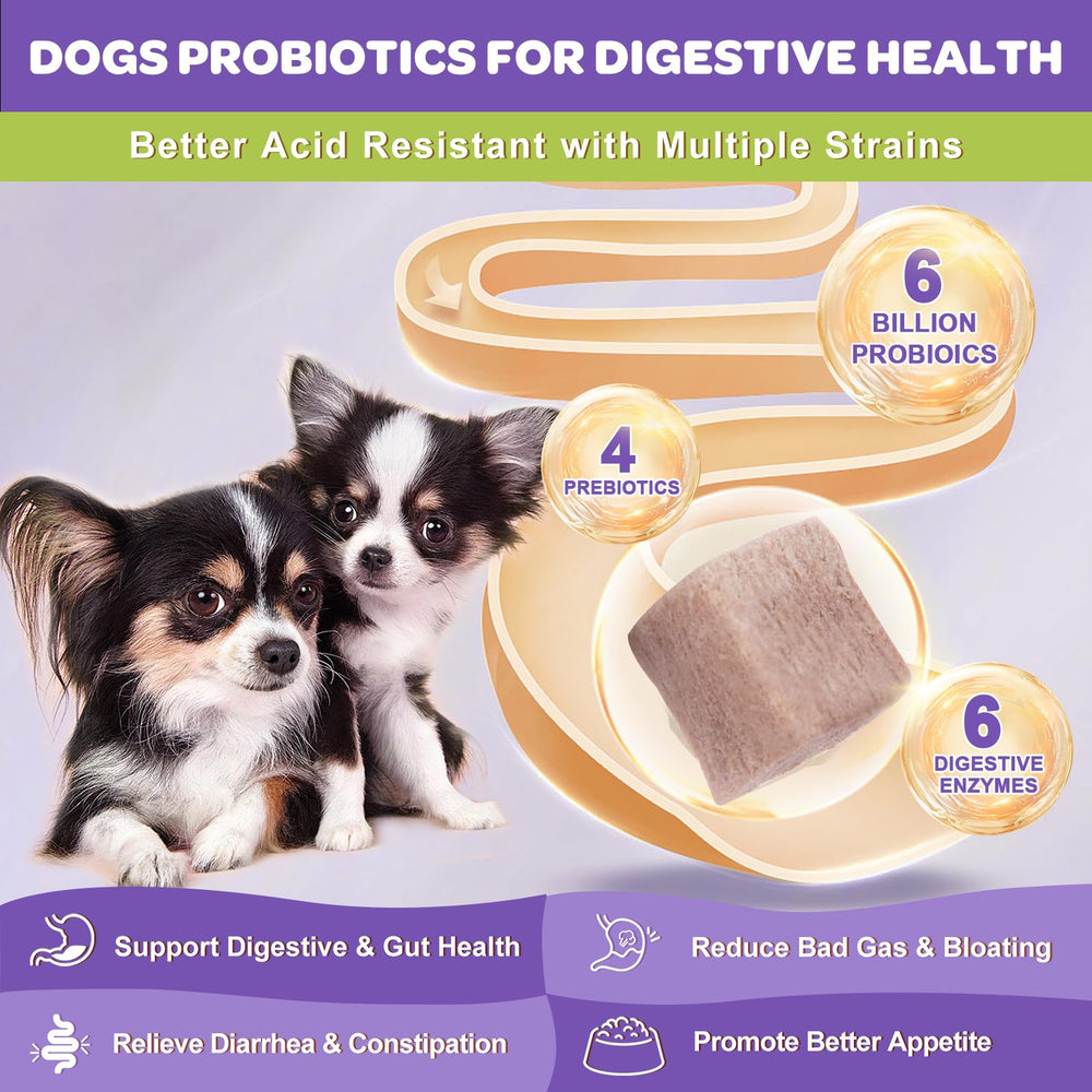 NATURE TARGET Probiotiques pour chiens: souches digestives variées pour équilibre intestinal.