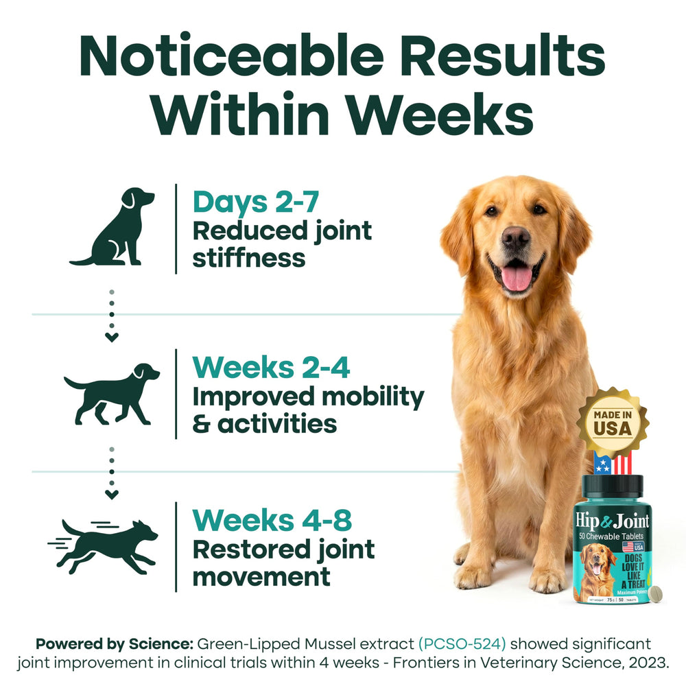 NatureFlow - comprimés à mâcher pour chien, faciles à donner et apprécier